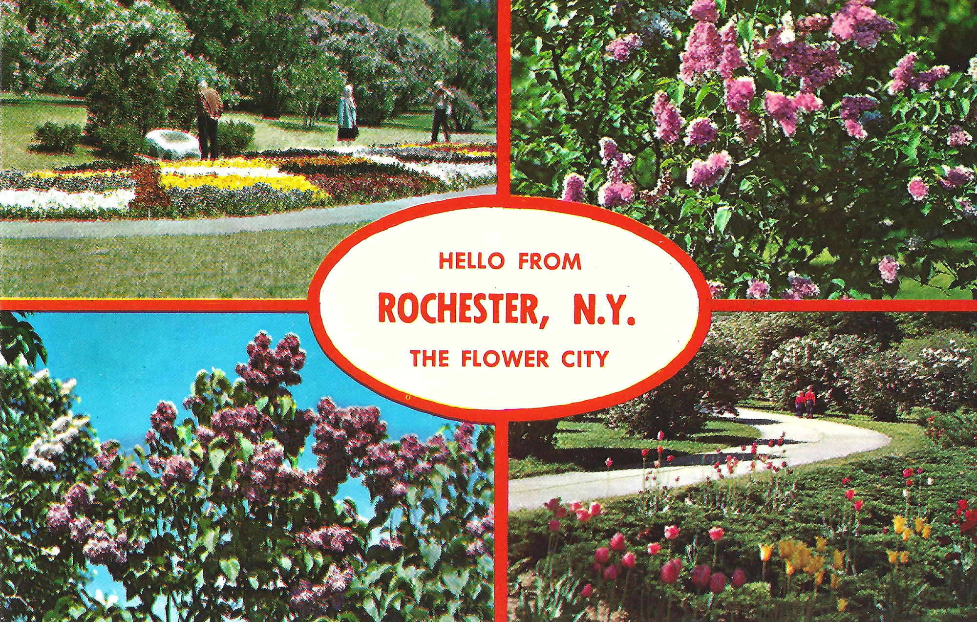 Lilac Time • c. 1950s