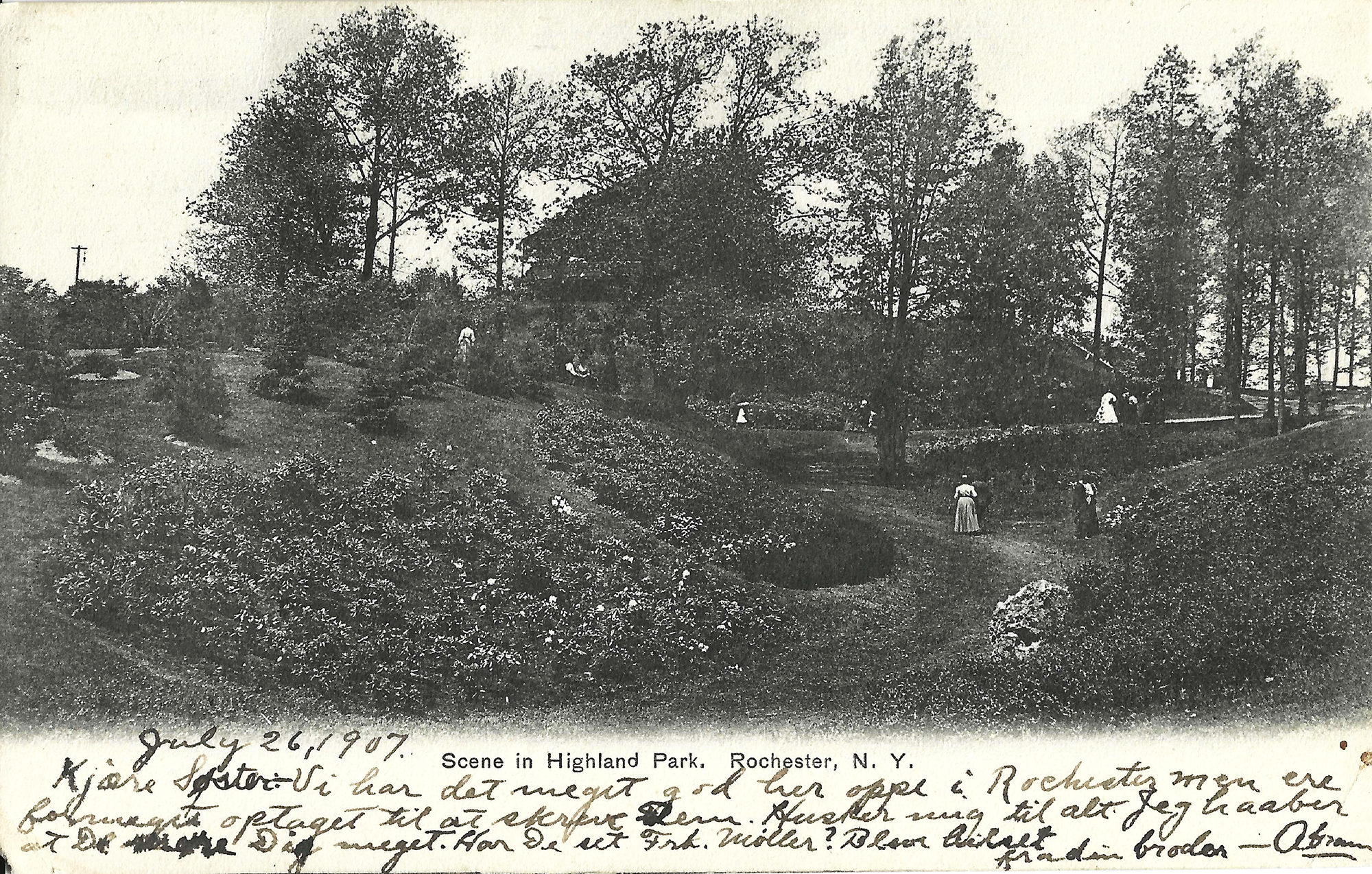 Lower Rhodie Valley • c. 1907