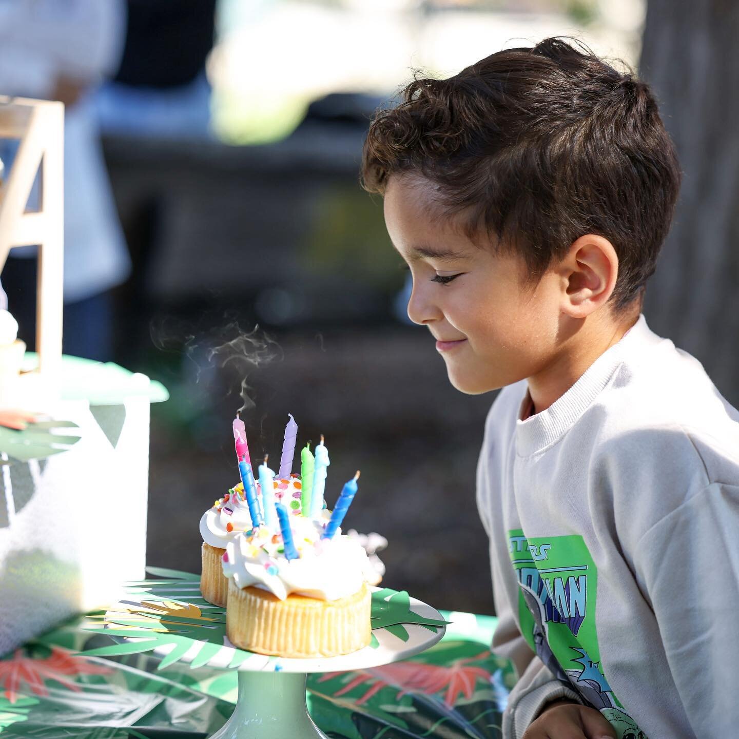 &lsquo;Tis the season where I&rsquo;m shooting and editing everyday and my personal pics take the back burner. We celebrated M+M earlier this month with a party animal themed birthday party, the kids enjoyed an animal show where they got to hold a 75