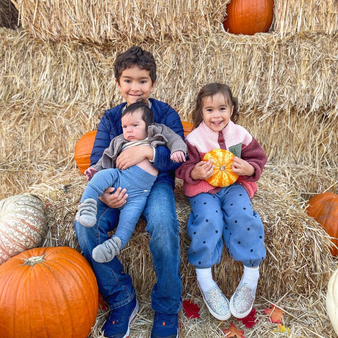 Obligatory pumpkin patch pic, Roman had so much fun he peed his pants. 🎃🎃🎃