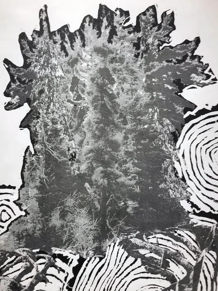 13.jpeg