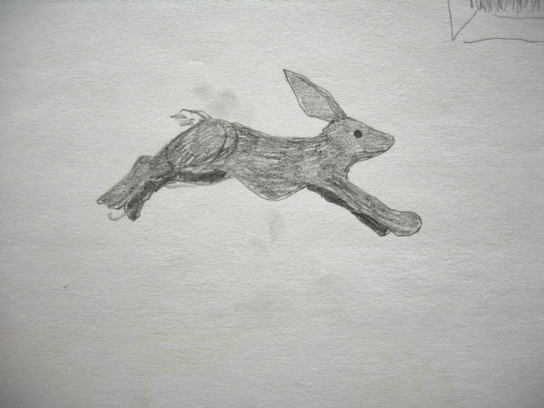 flying rabbit.JPG