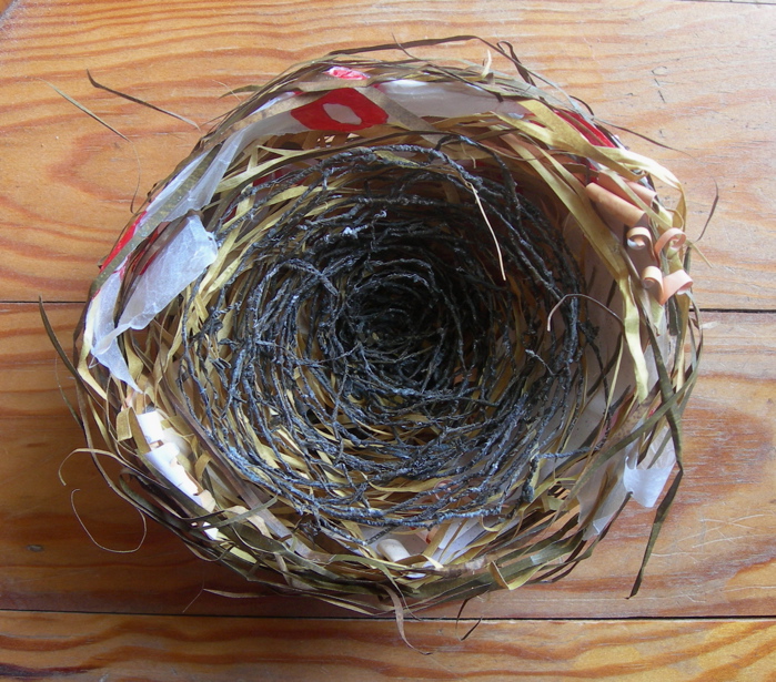 nest3.JPG