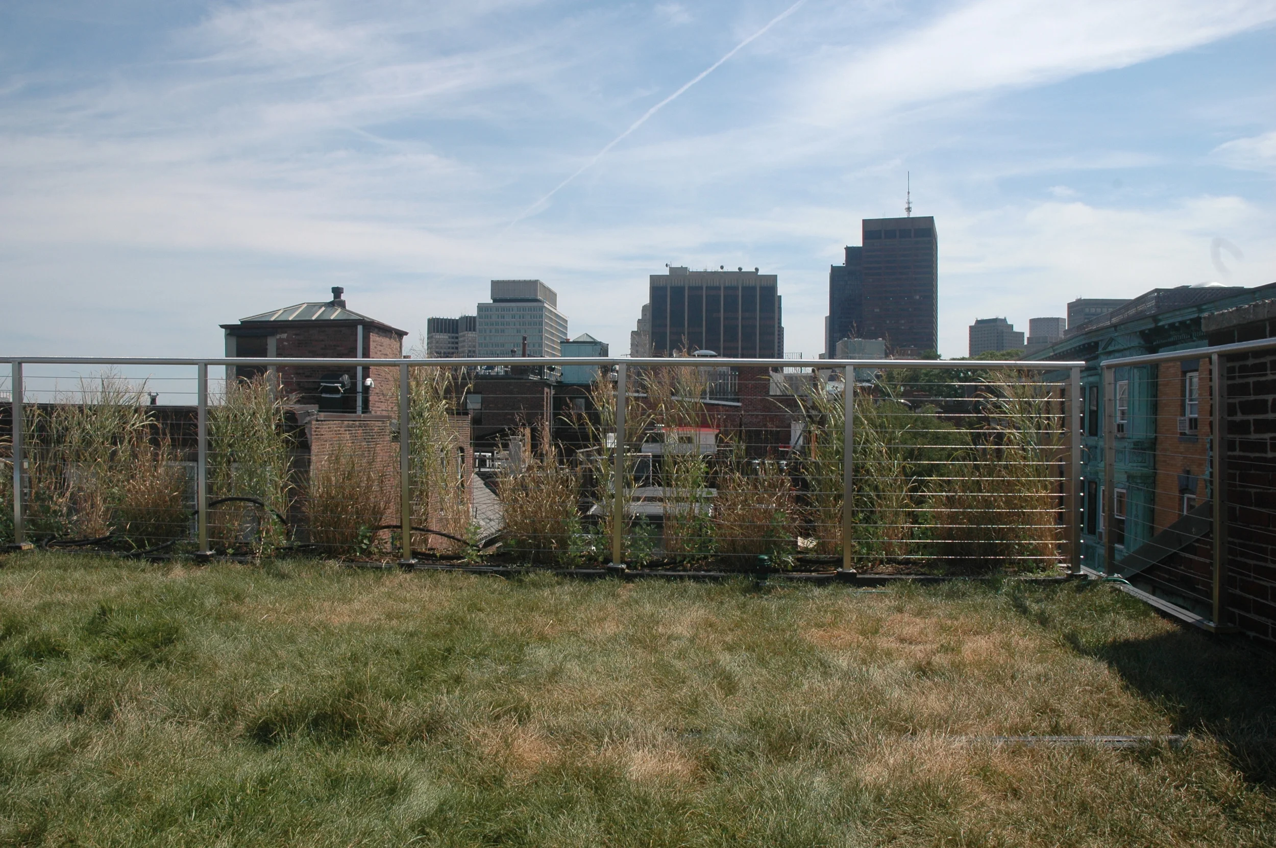 DSC_0165.JPG