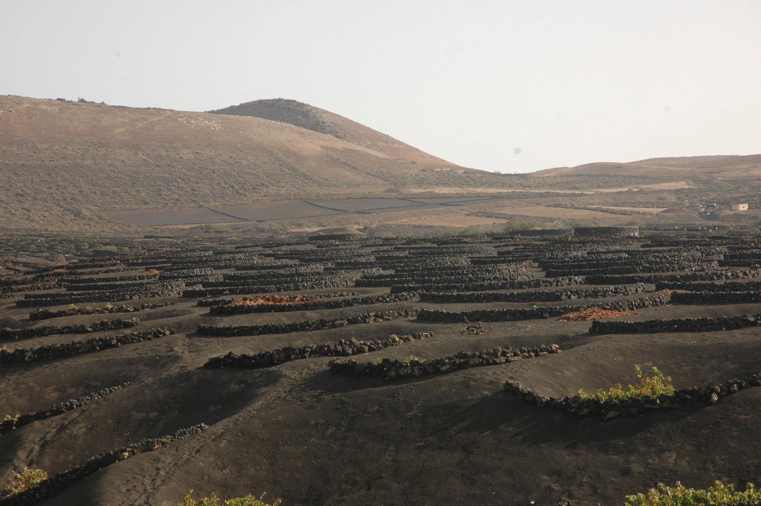 DSC_0022.JPG