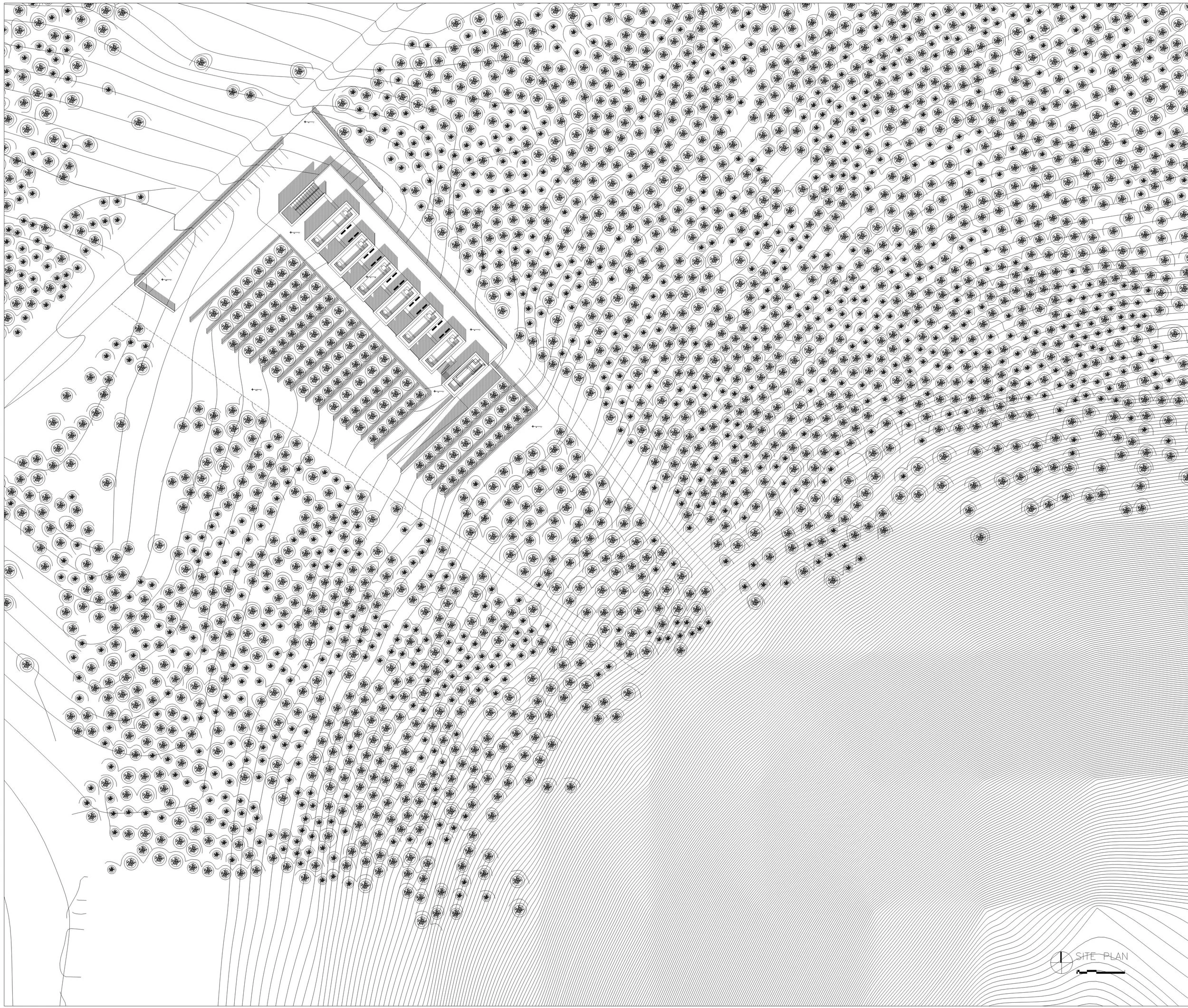 chafee_final_bw_set Page 001.jpg