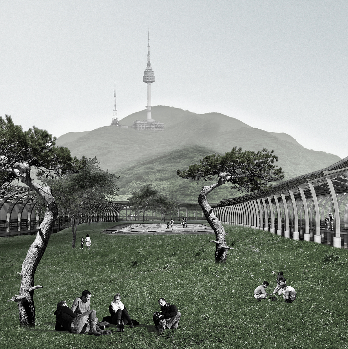 web-view to center and mountain bw.jpg