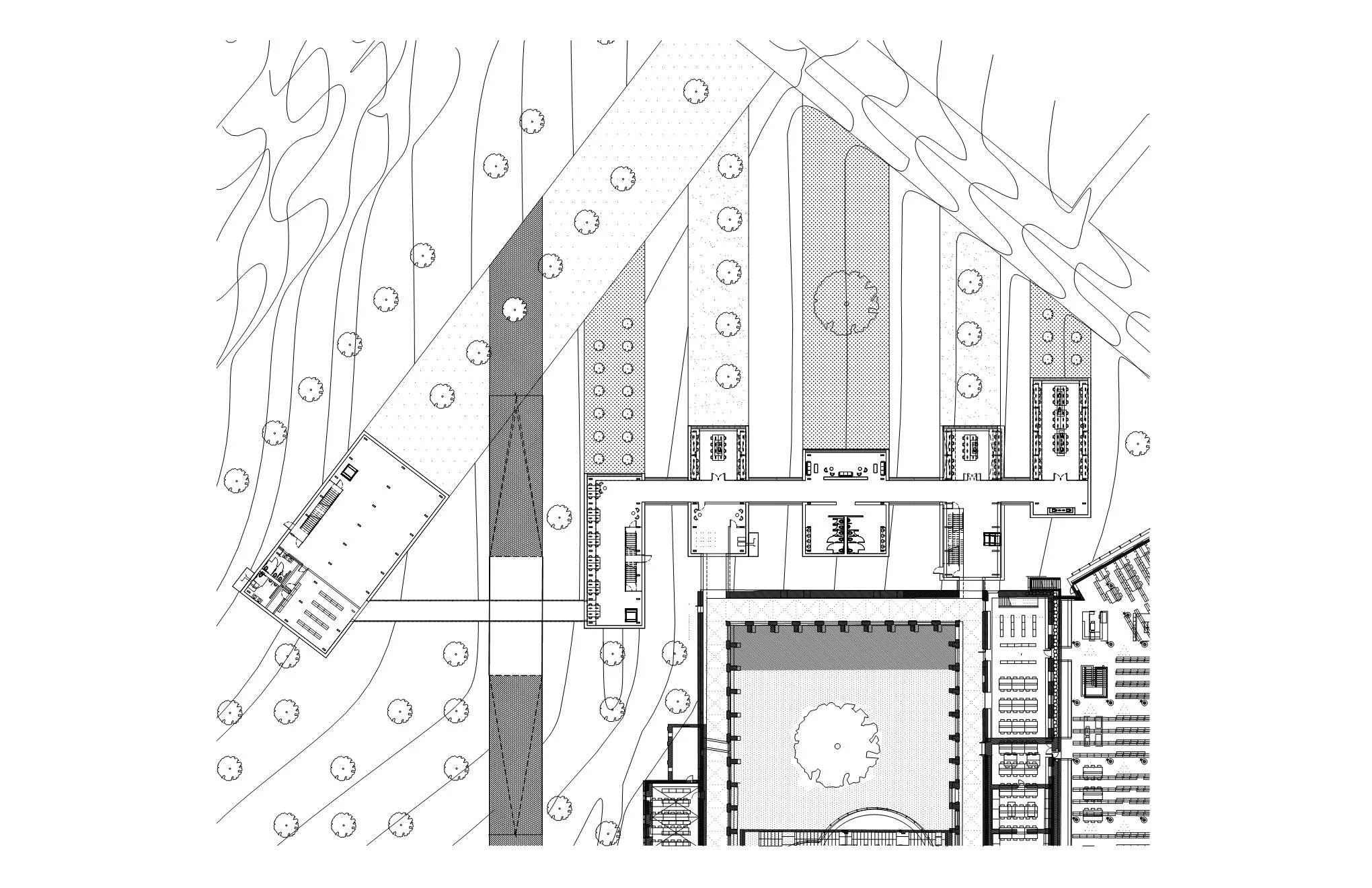 Ground Floor.jpg