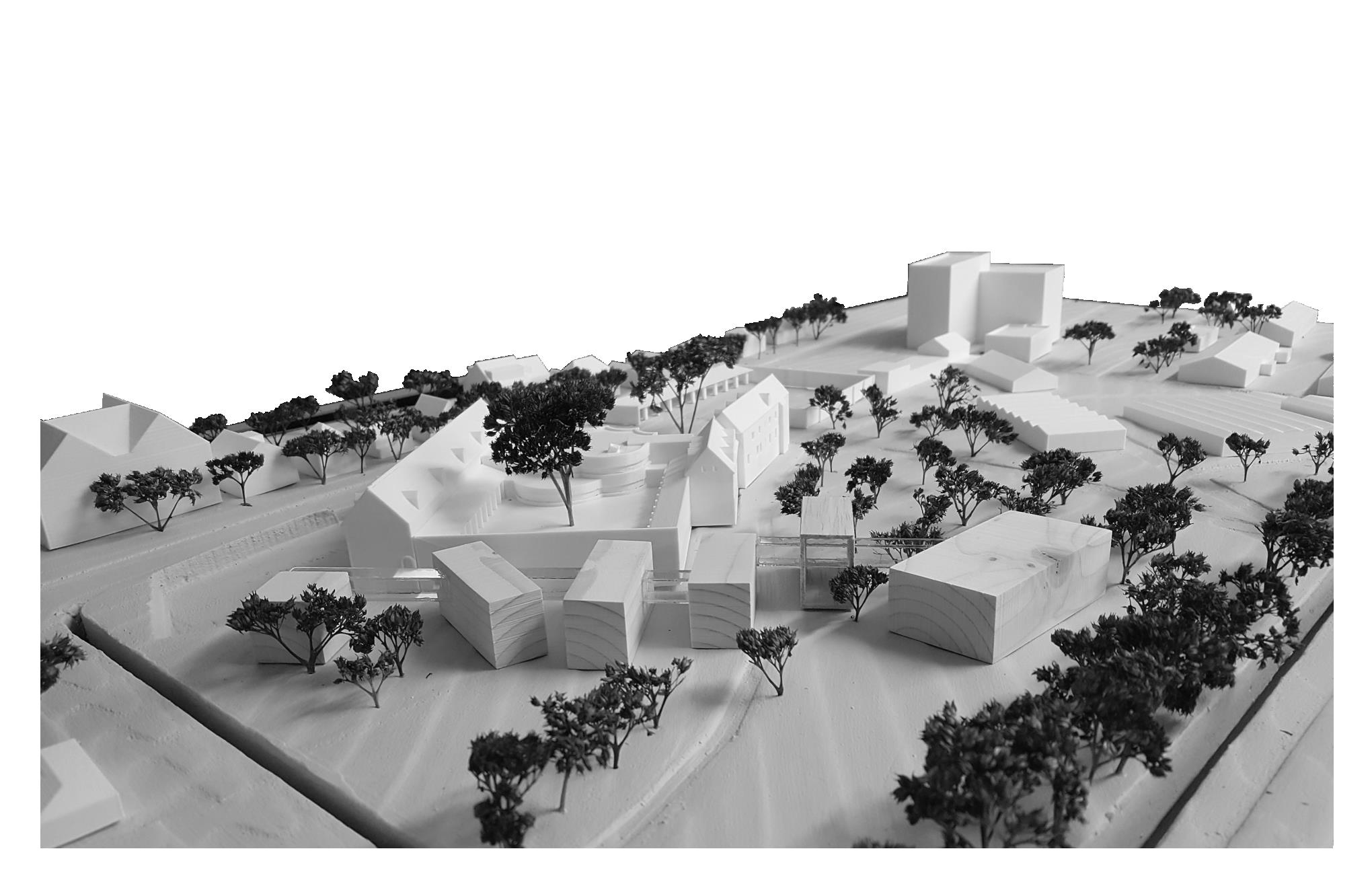 Site Model.jpg