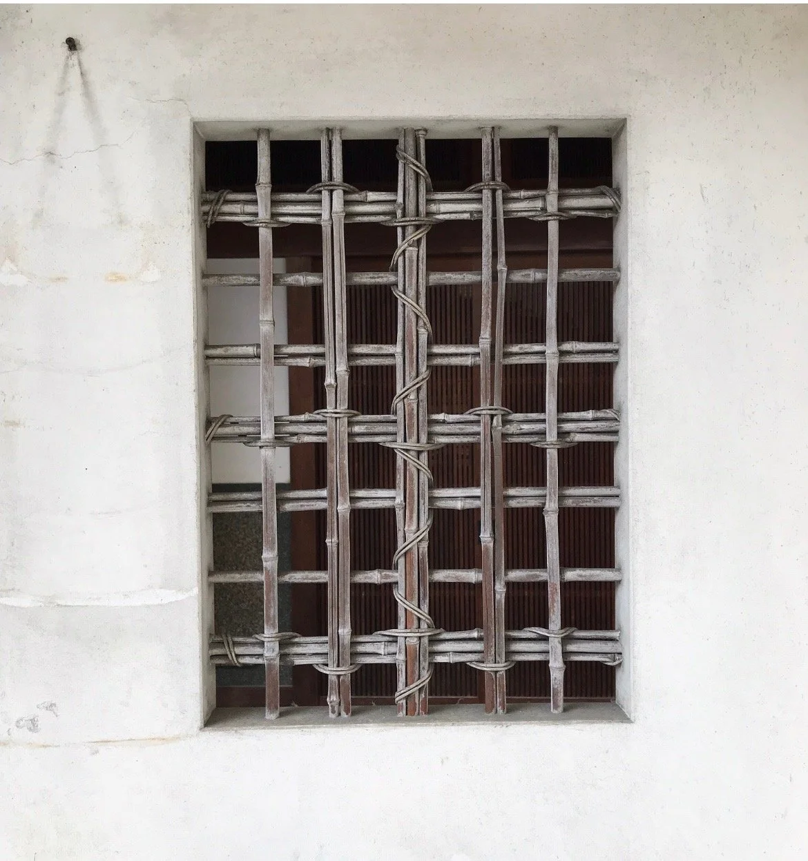 IMG_9612.jpeg