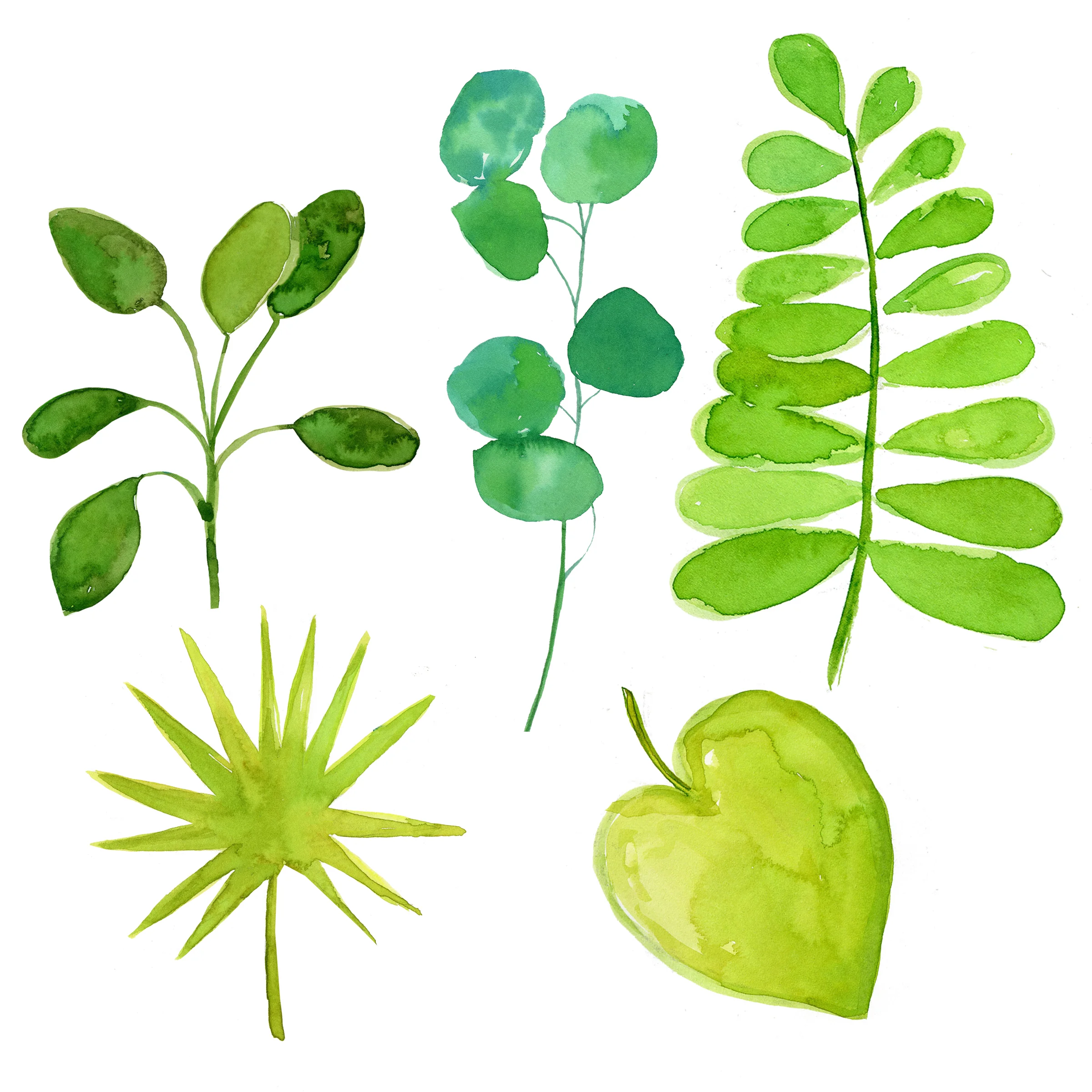 Green leaves.jpg