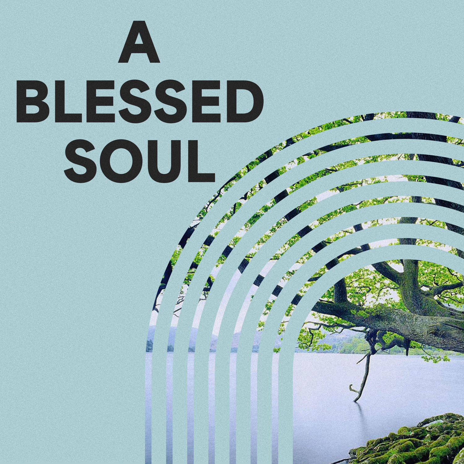A Blessed Soul episode artwork