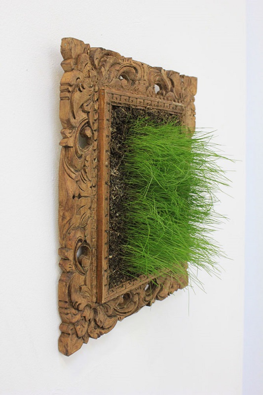 Grass In Frame, temporary ephemeral installation, dimensions variable_LauraPhelpsRogers.jpg