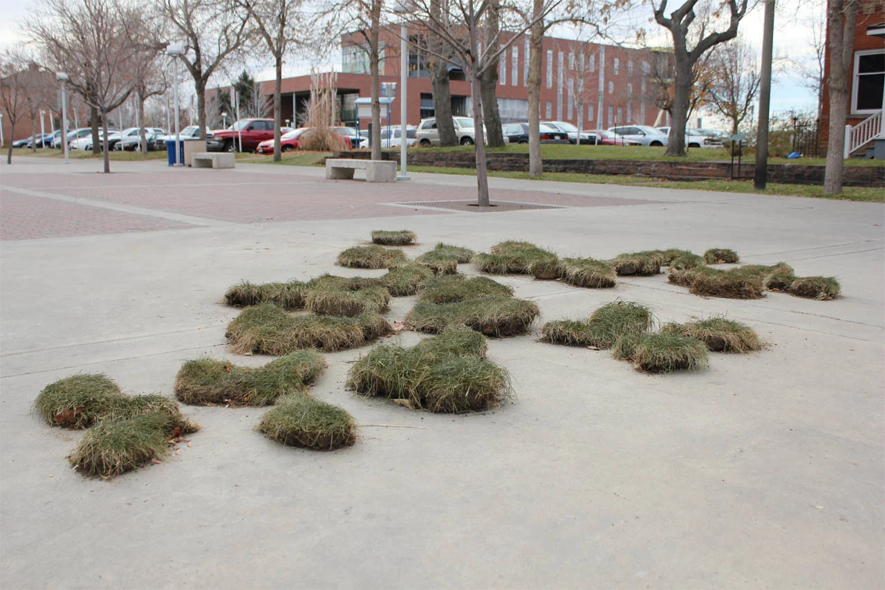 Ephemeral and temporary installation_lauraphelpsrogers.jpg
