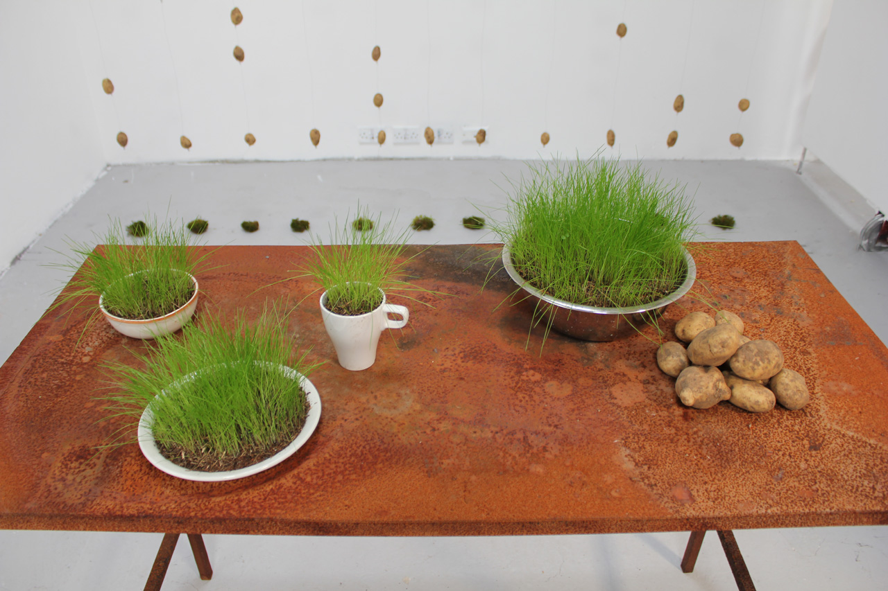 rust and grass_lauraphelpsrogers.jpg