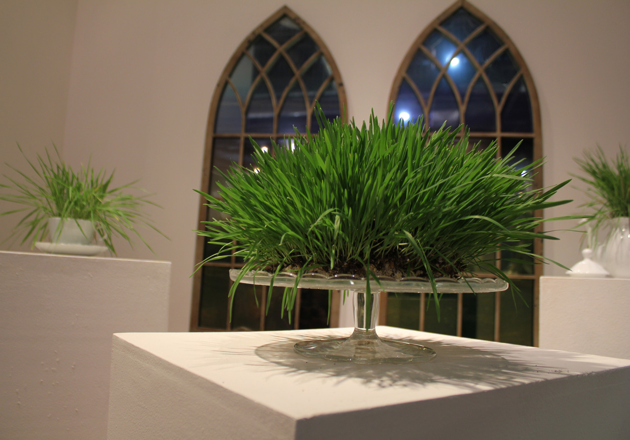 A Ephemeral Installation_ laura phelps rogers.jpg