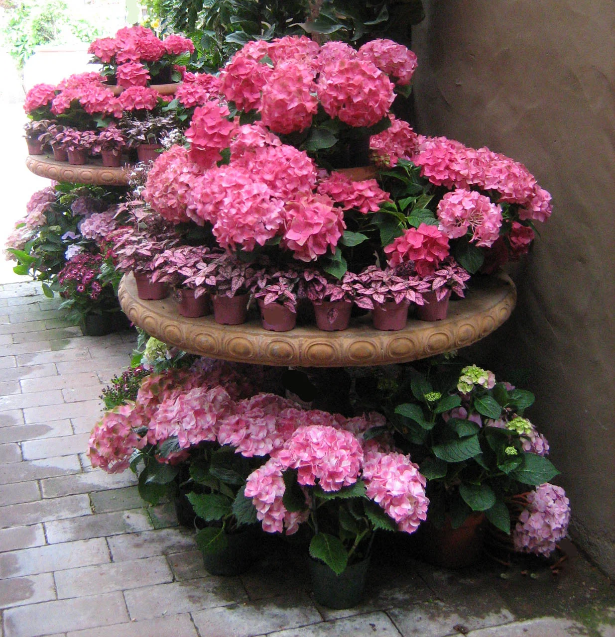 Flowers on large stands_lauraphelpsrogers.jpg