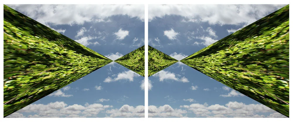 Time Warp, Laura Phelps Rogers, Framed Diptych, Digital Photographs, Dimesions Variable 2016.jpg