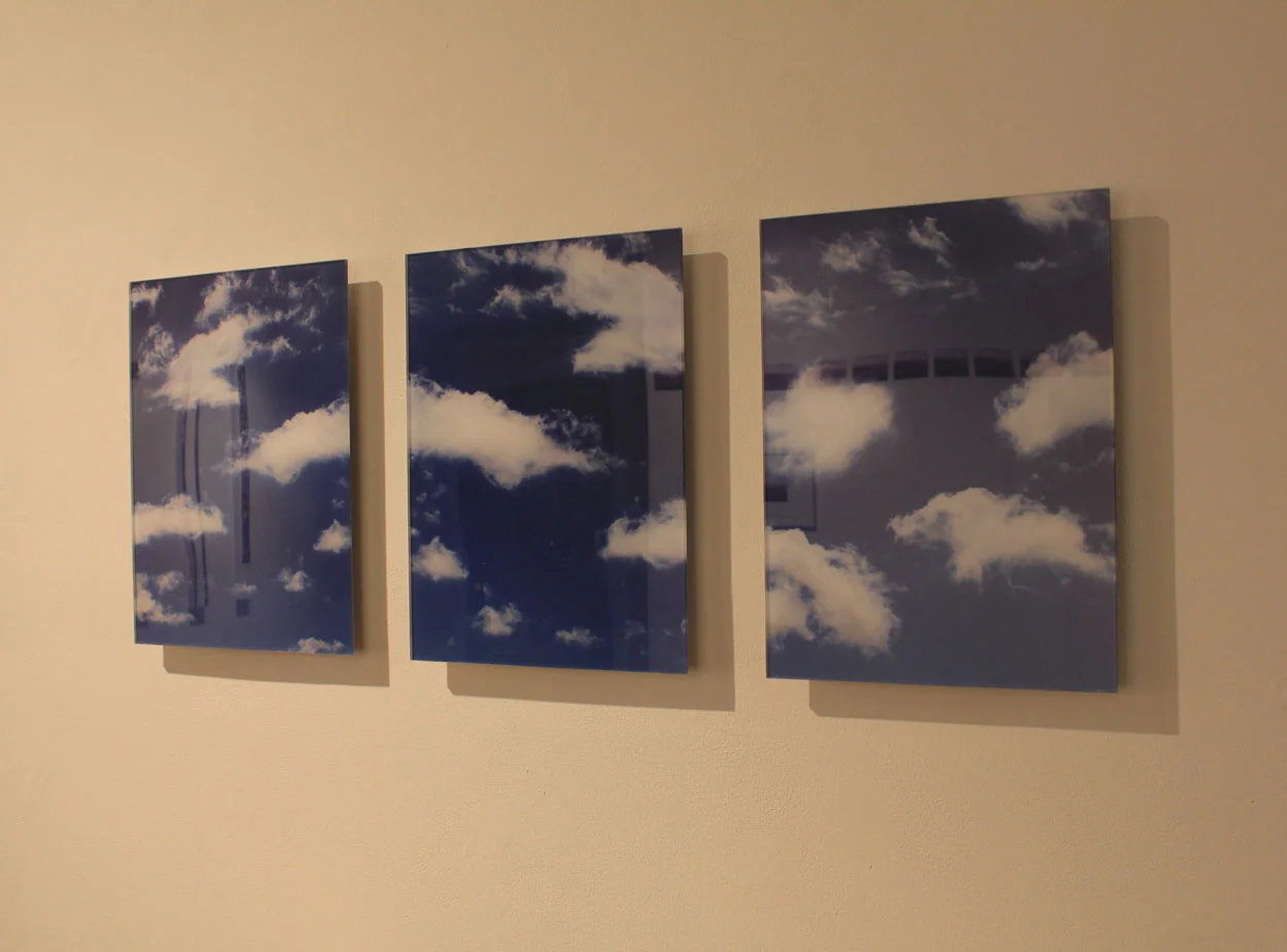 Laura Phelps Rogers, Digital Images on Aluminum, Dimensions Variable.jpg