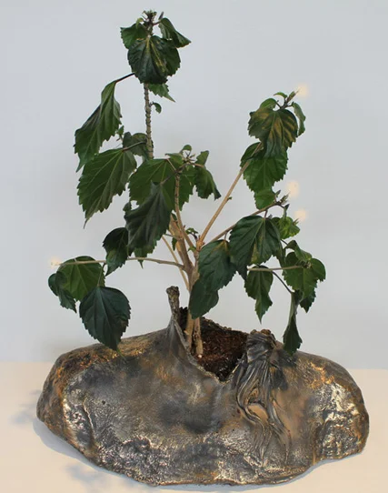 Personal Growth, Bronze, Dimensions Variable,Laura Phelps Rogers.jpg