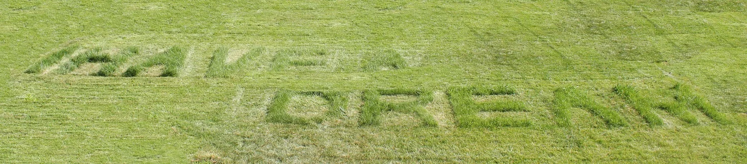 I Have A Dream - grass maquette panel 40 feet- for Vancouver Bienniel 250 foot project Laura Phelps Rogers.jpg