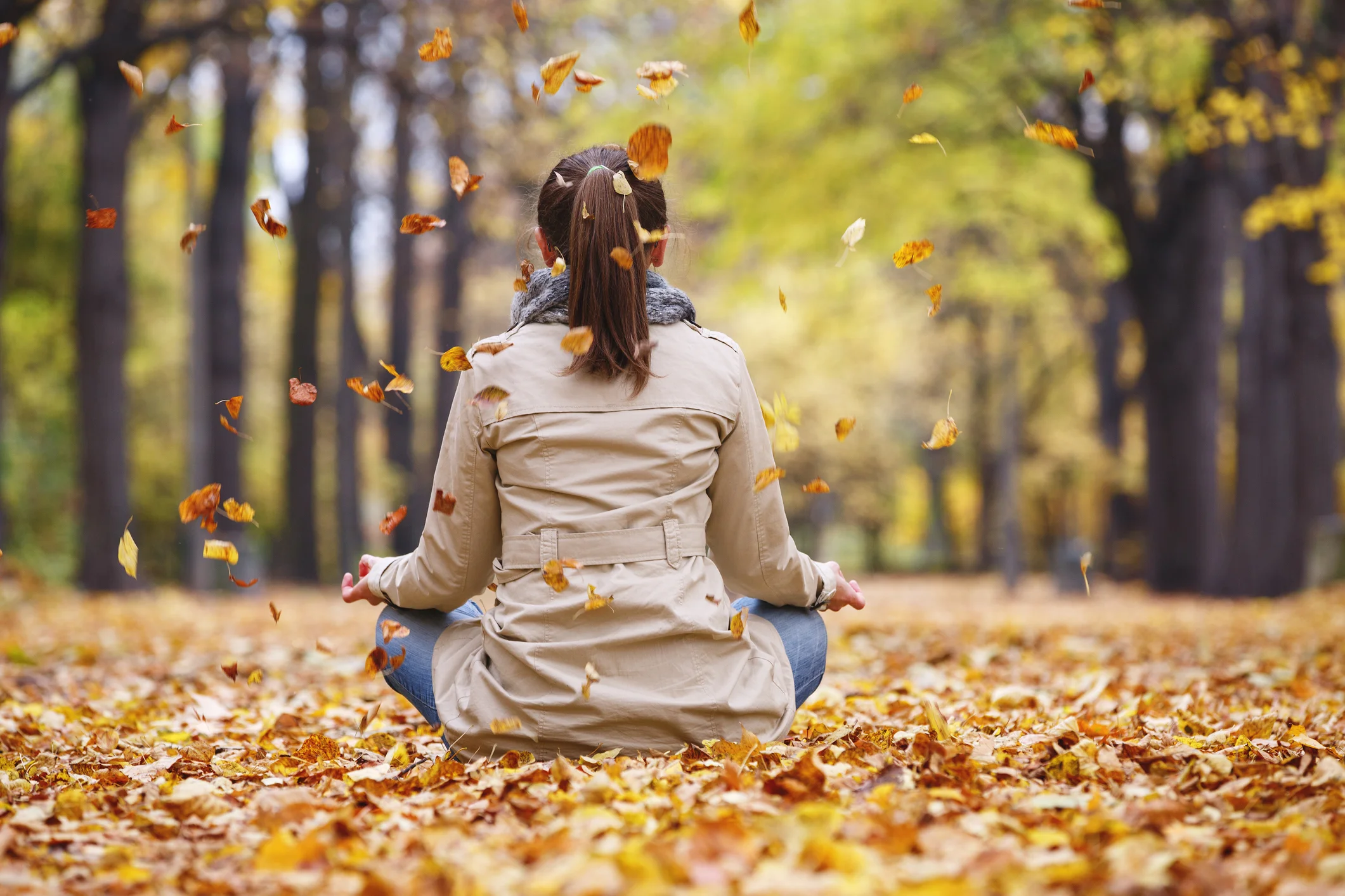 Photo by fotorince/iStock / Getty Images