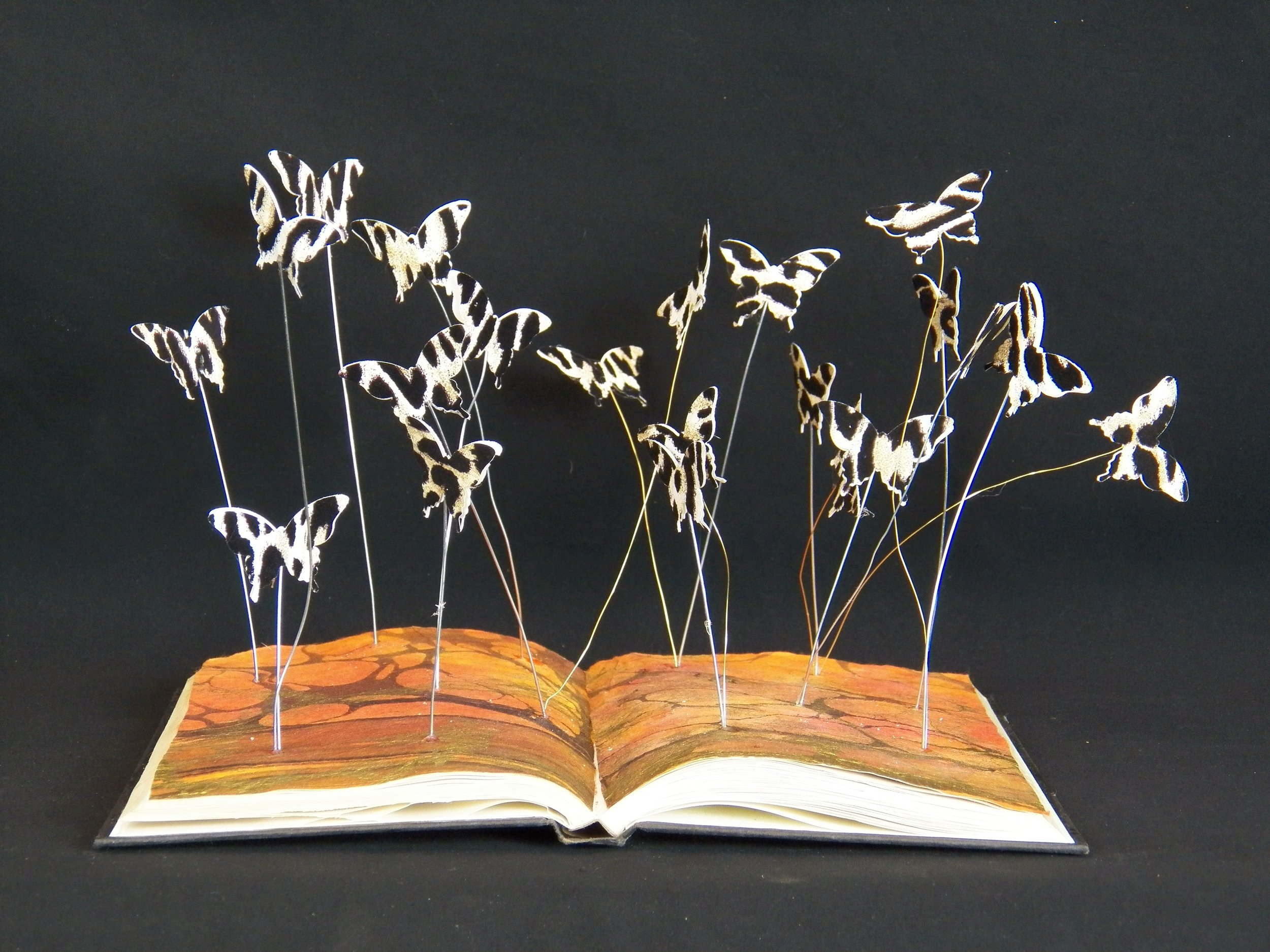 Zebra Butterflies Book Mobile