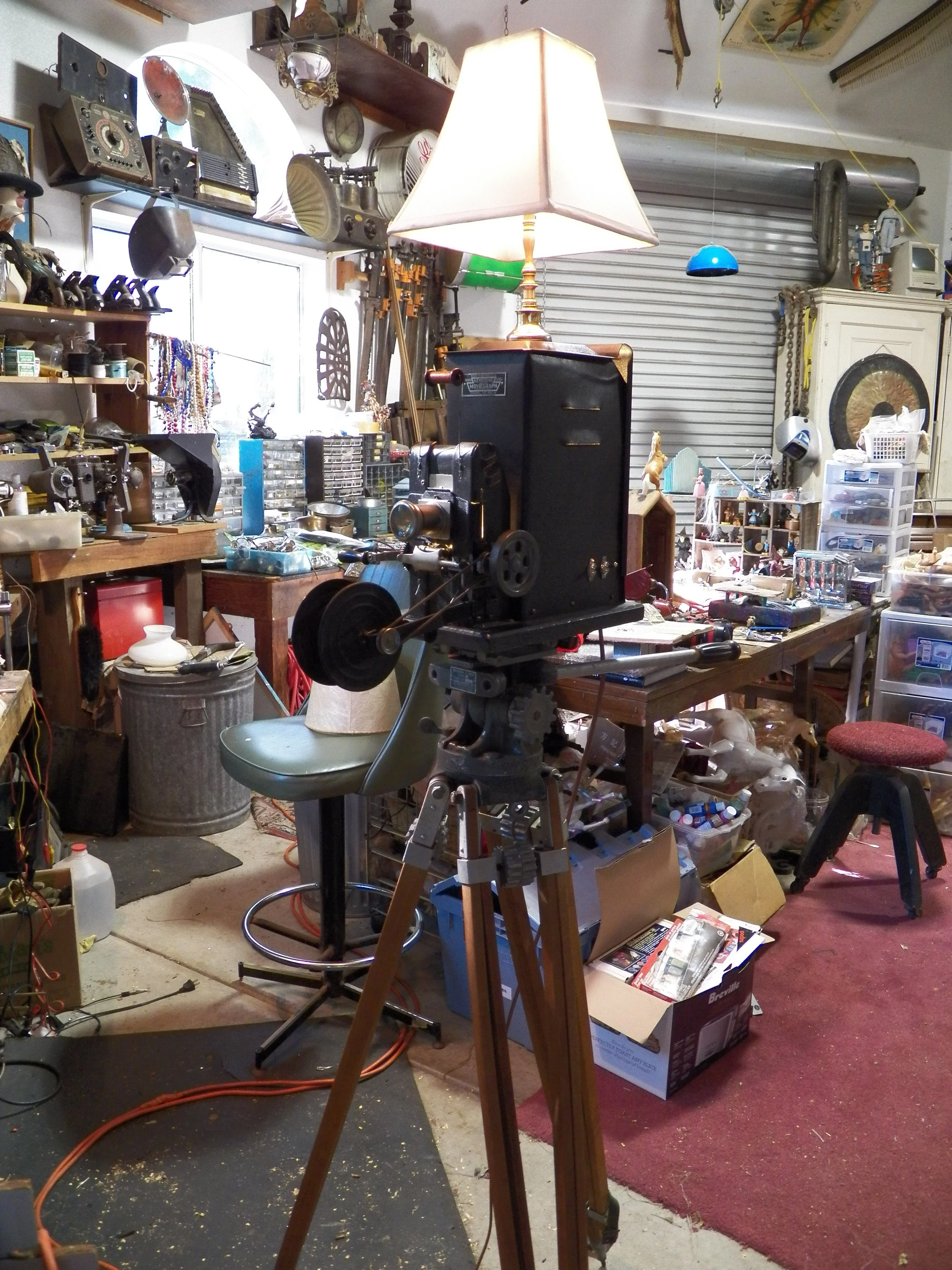 Speed! Action! in Shop.JPG