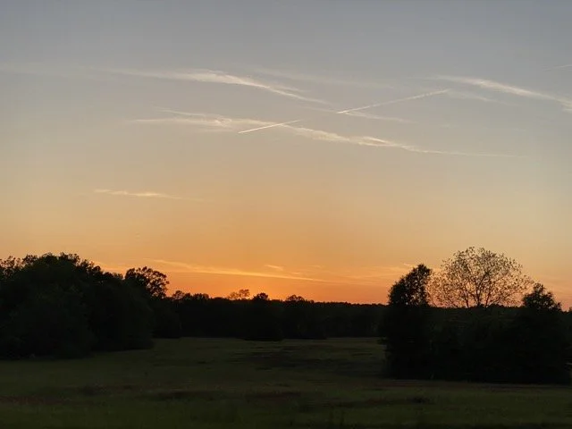 2022-04-27_19-34-16_198 Medium.jpeg