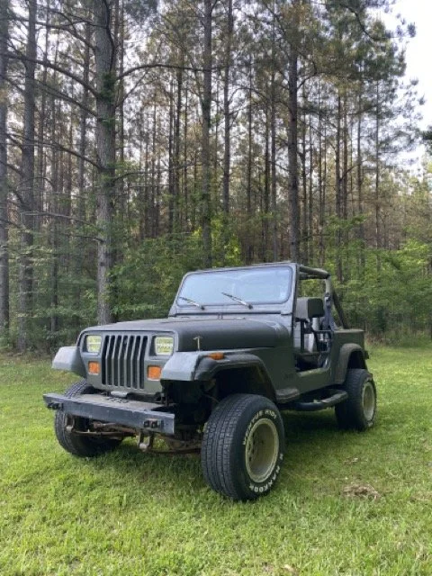 IMG_4441 2 Medium.jpeg