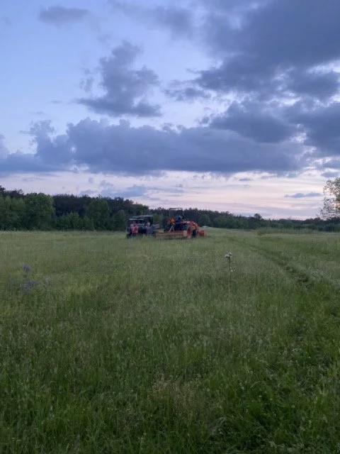 IMG_4521 Medium.jpeg