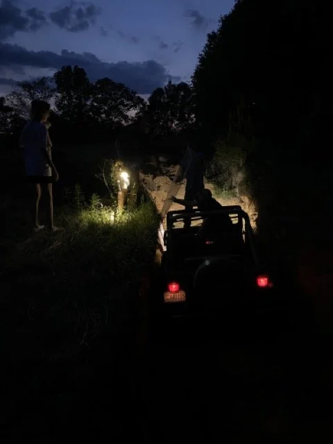 IMG_4533 Medium.jpeg