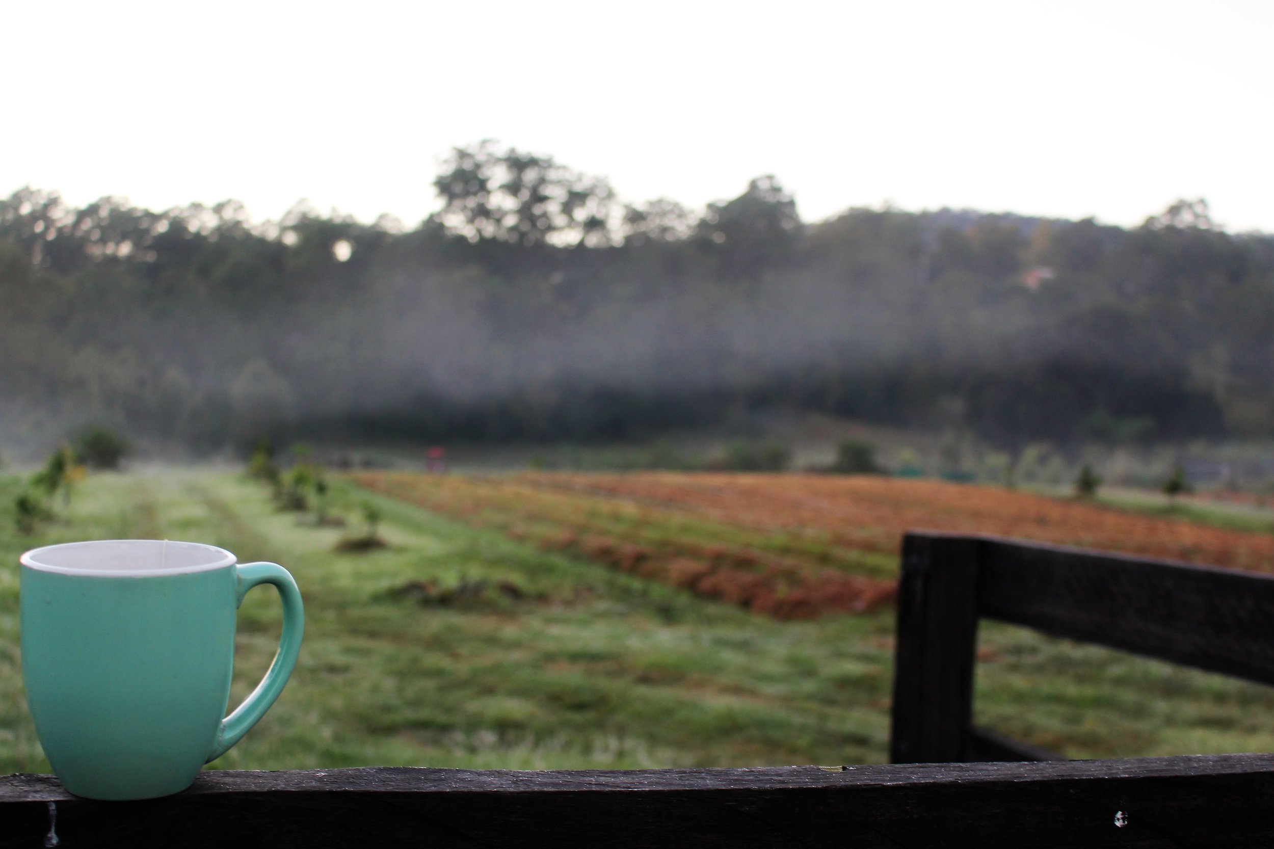 Relaxing with a cuppa in a quiet spot...