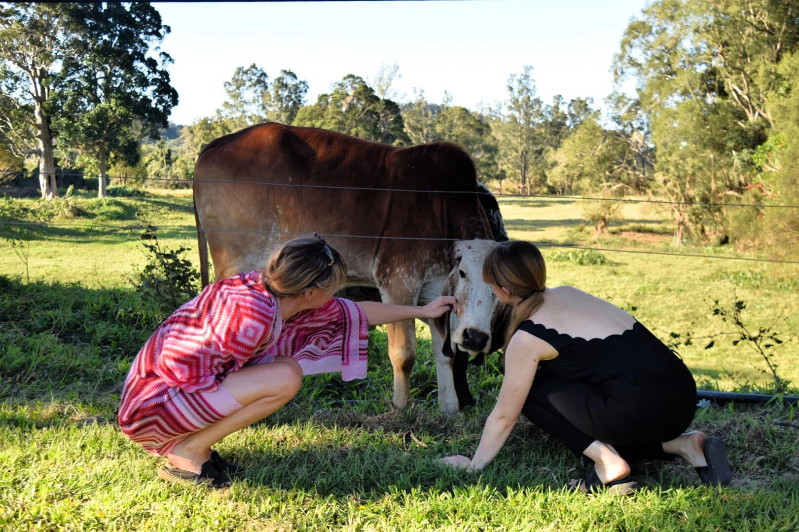 Julia and Lauren are sharing some love on the farm