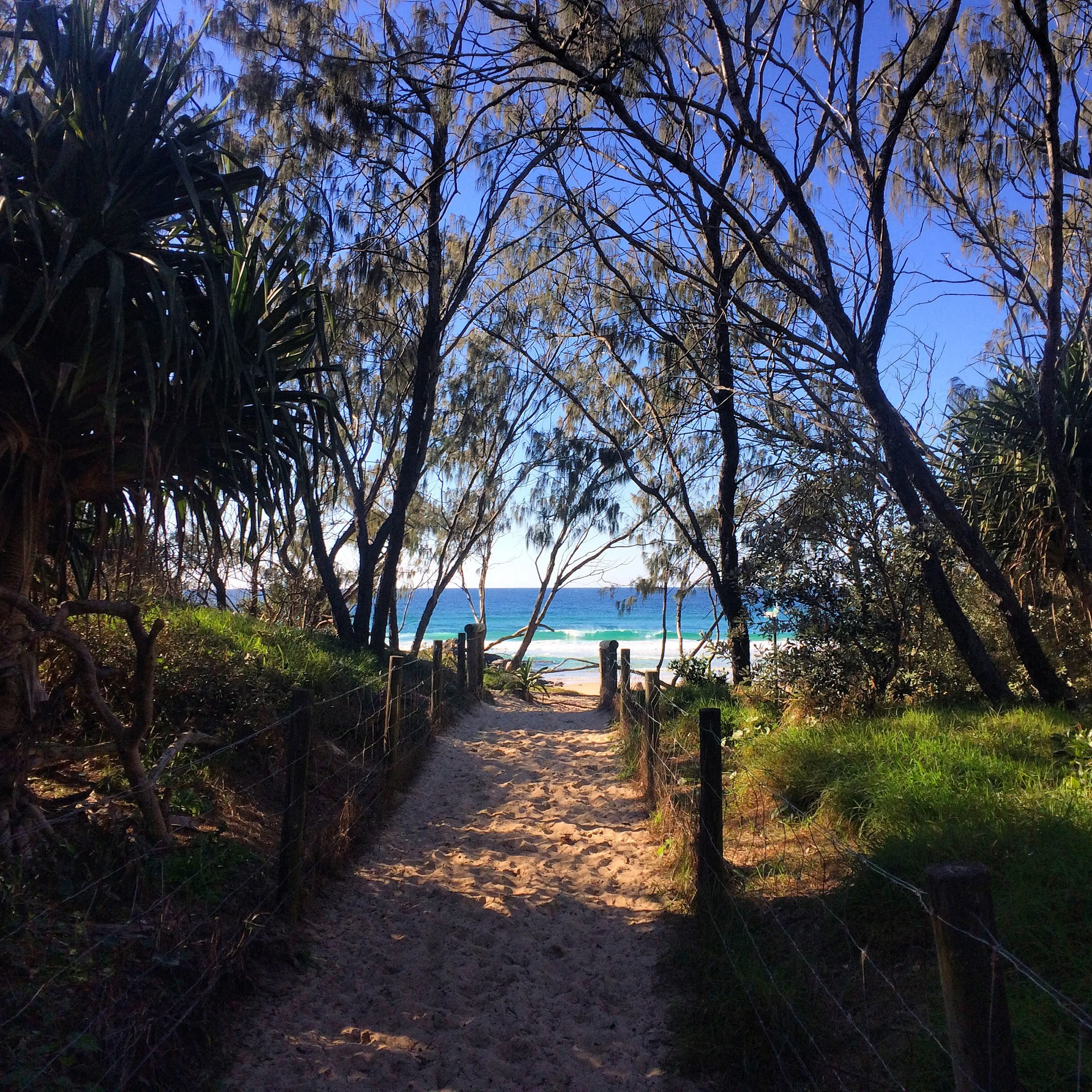 The ocean at Cabarita Beach