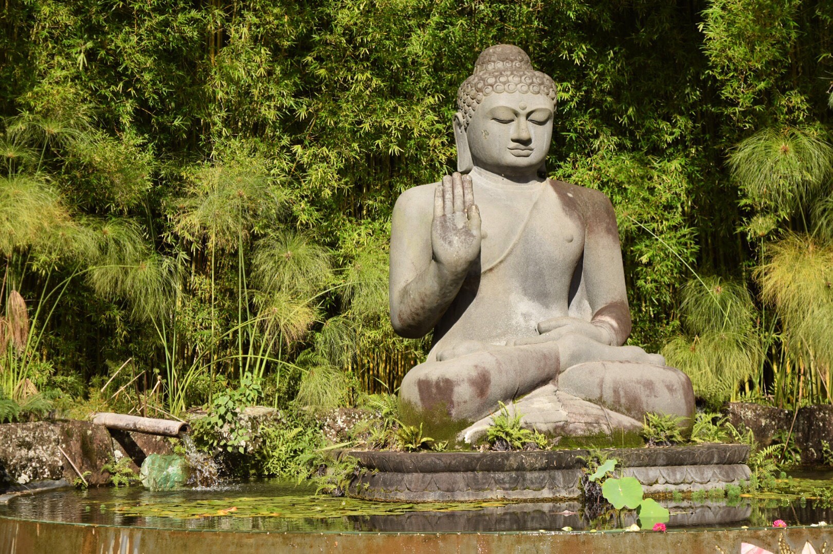 Buddha's Lotus Mosaic by Turiya Bruce at Crystal Castle, Mullumbimby
