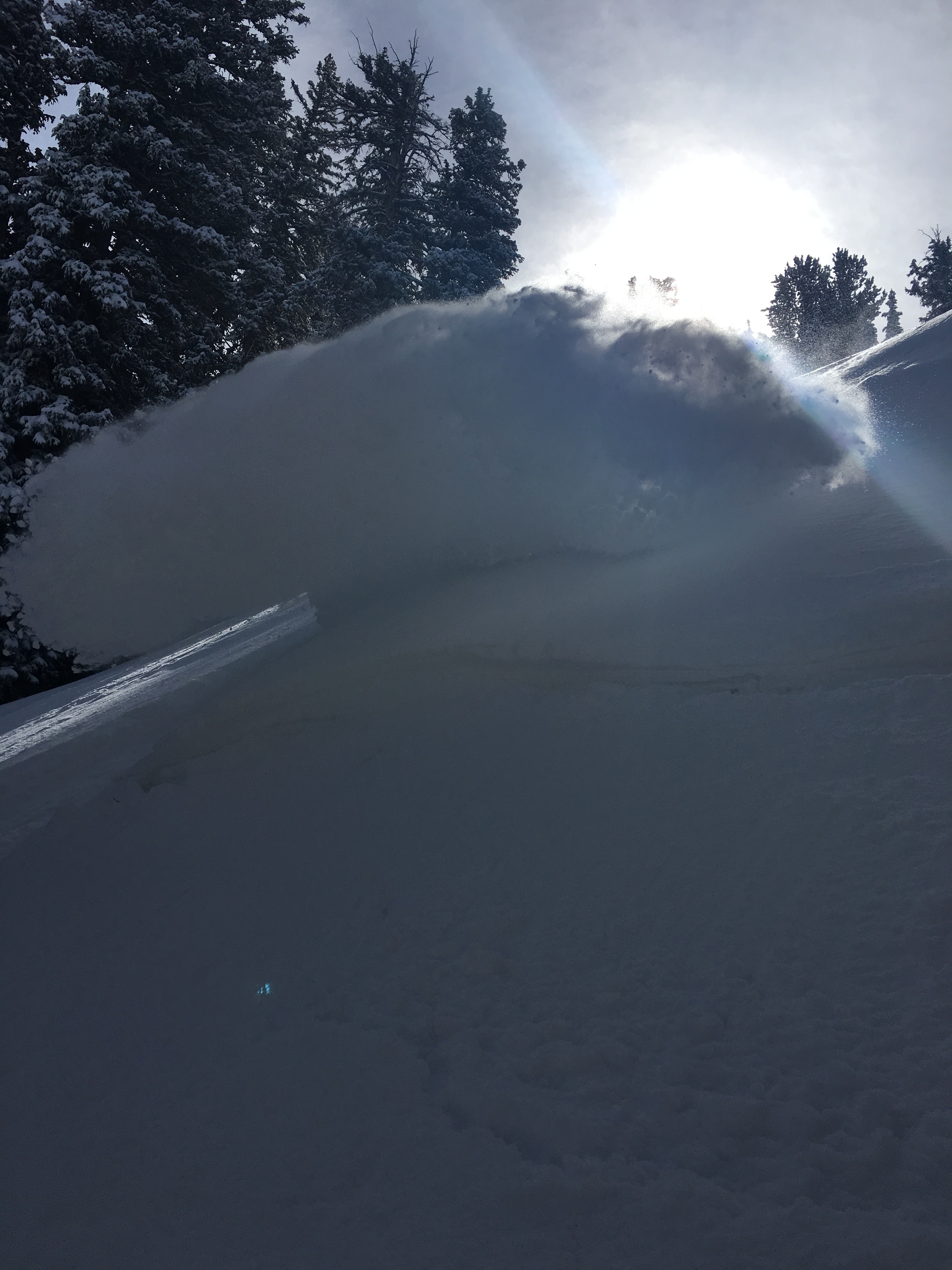 Photo: Absolutely smashing pow a top Argenta on the first few turns in blower pow Photo: Ryan Irvin Big Cottonwood Canyon, UT
