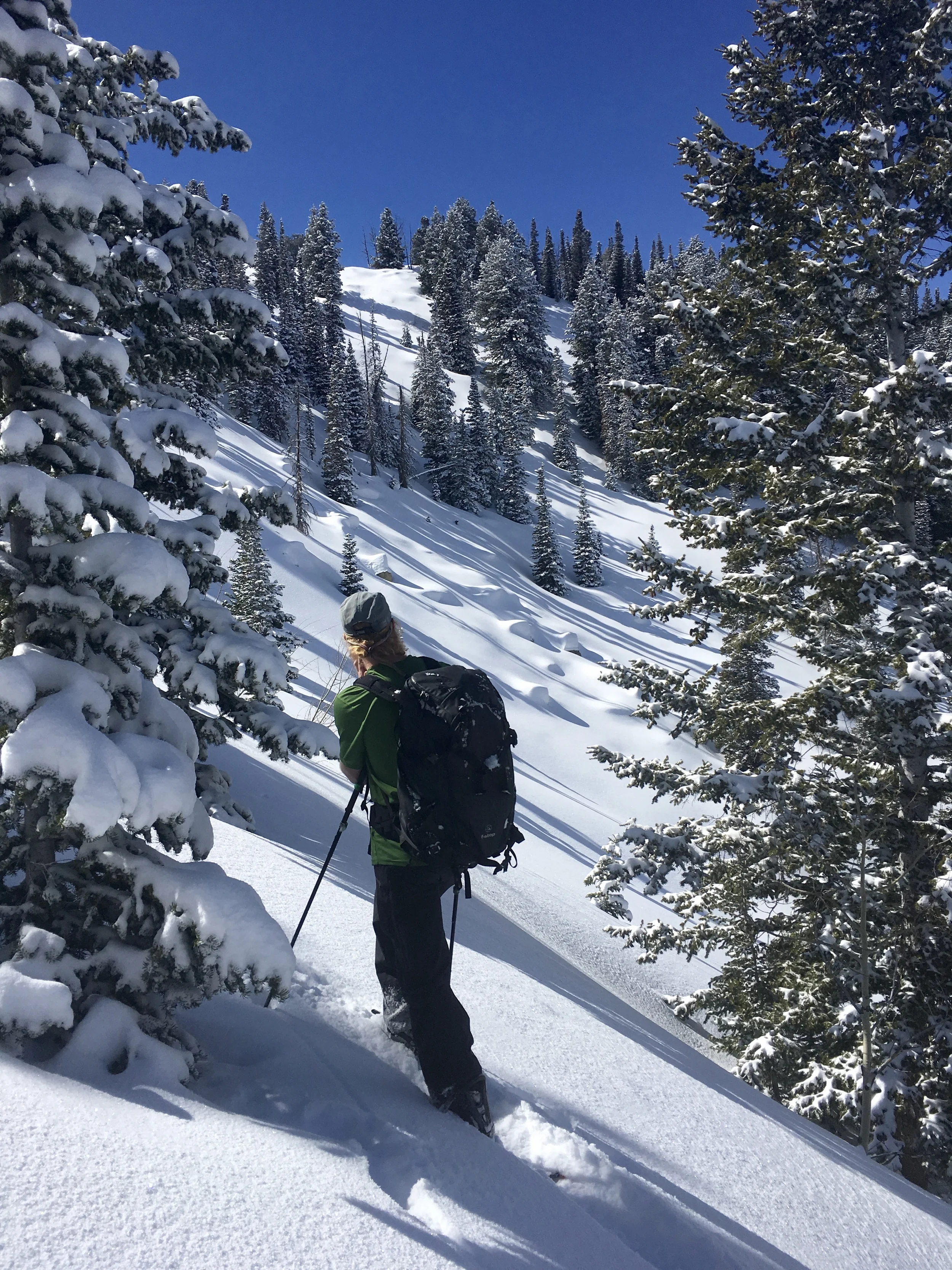 Photo: Gazing into some hits in Silver Mine Meadow Big Cottonwood Canyon, UT