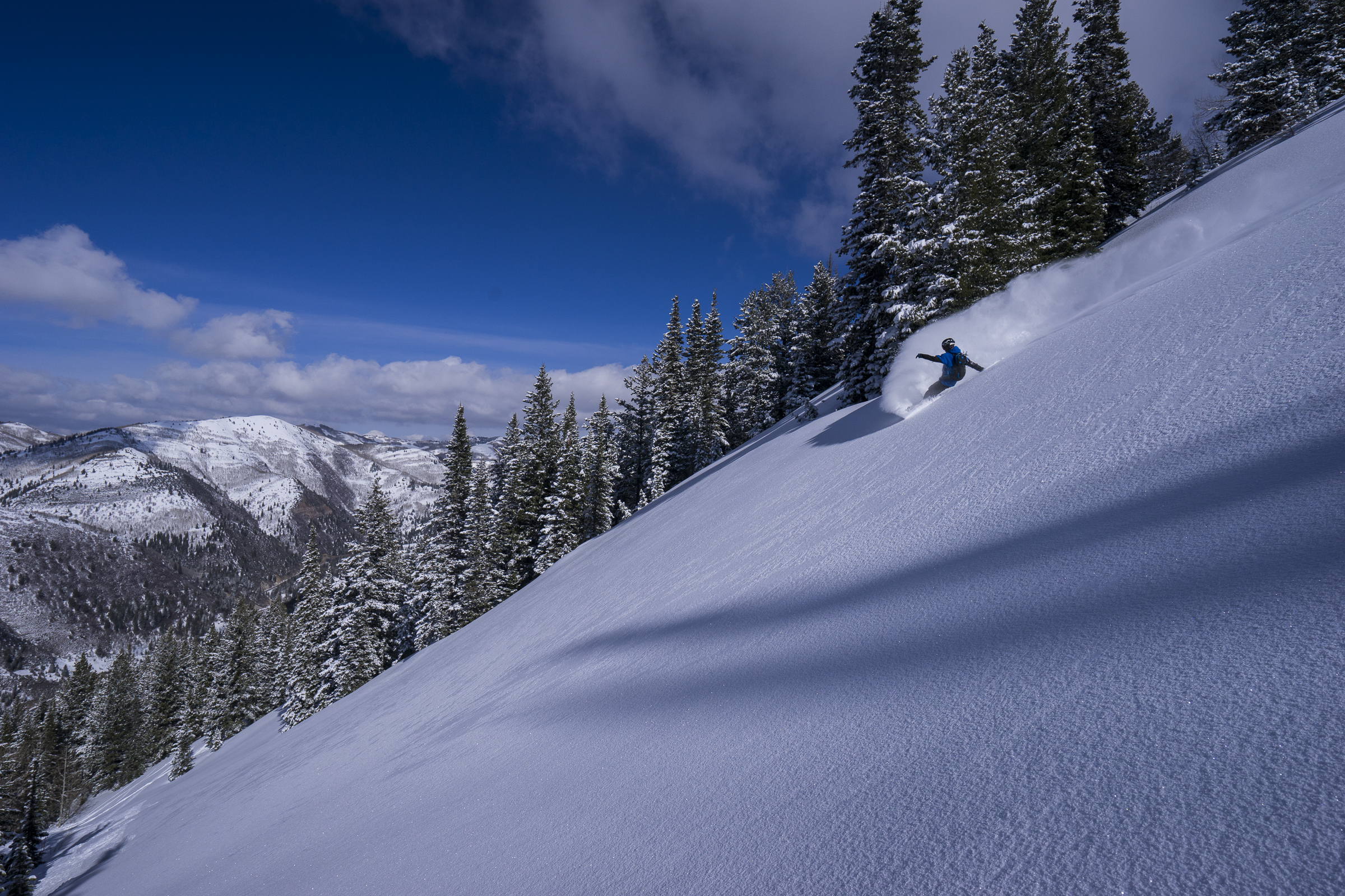  Zach slaying pow in Big Cottonwood  Photo: Ryan Irvin 