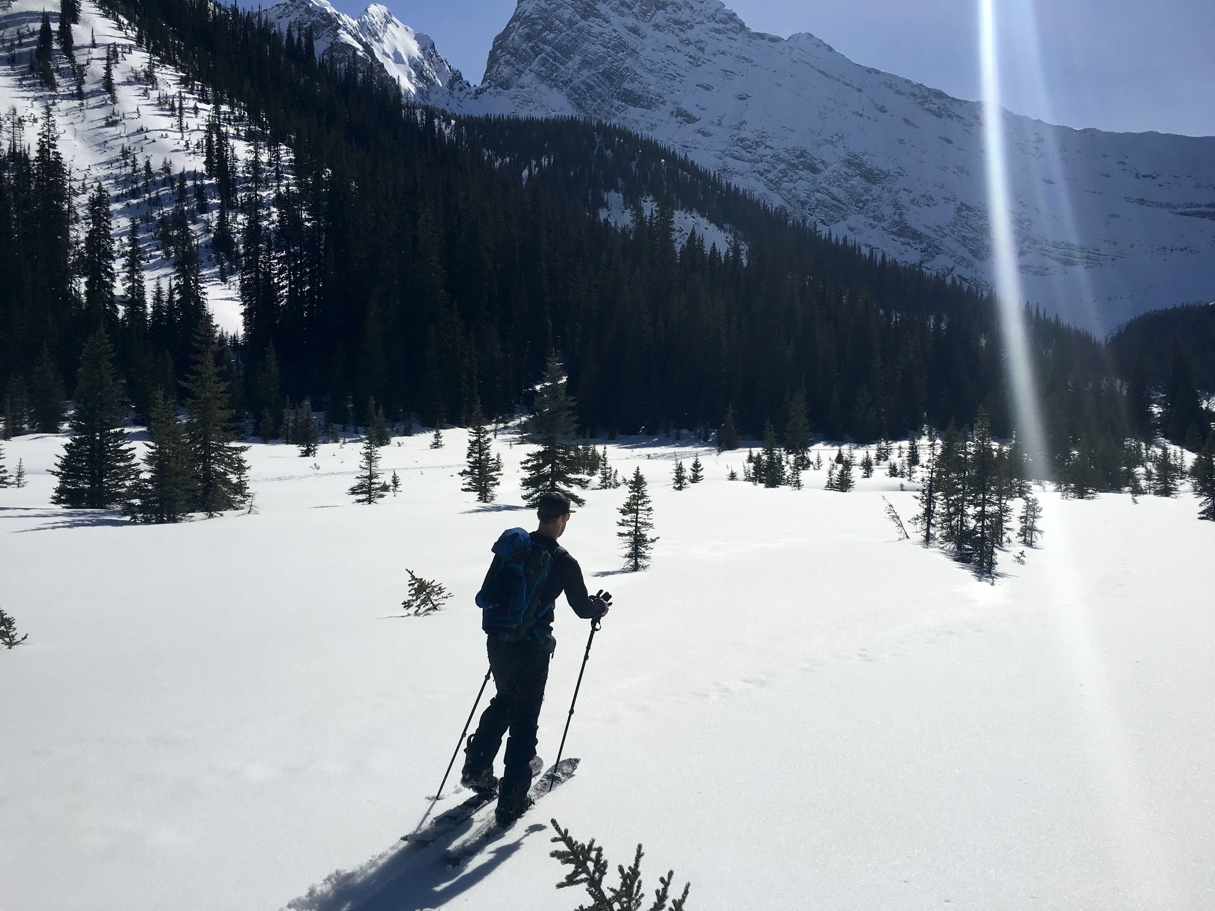 Commonwealth drainage in Kananaskis Country Photo: Brian
