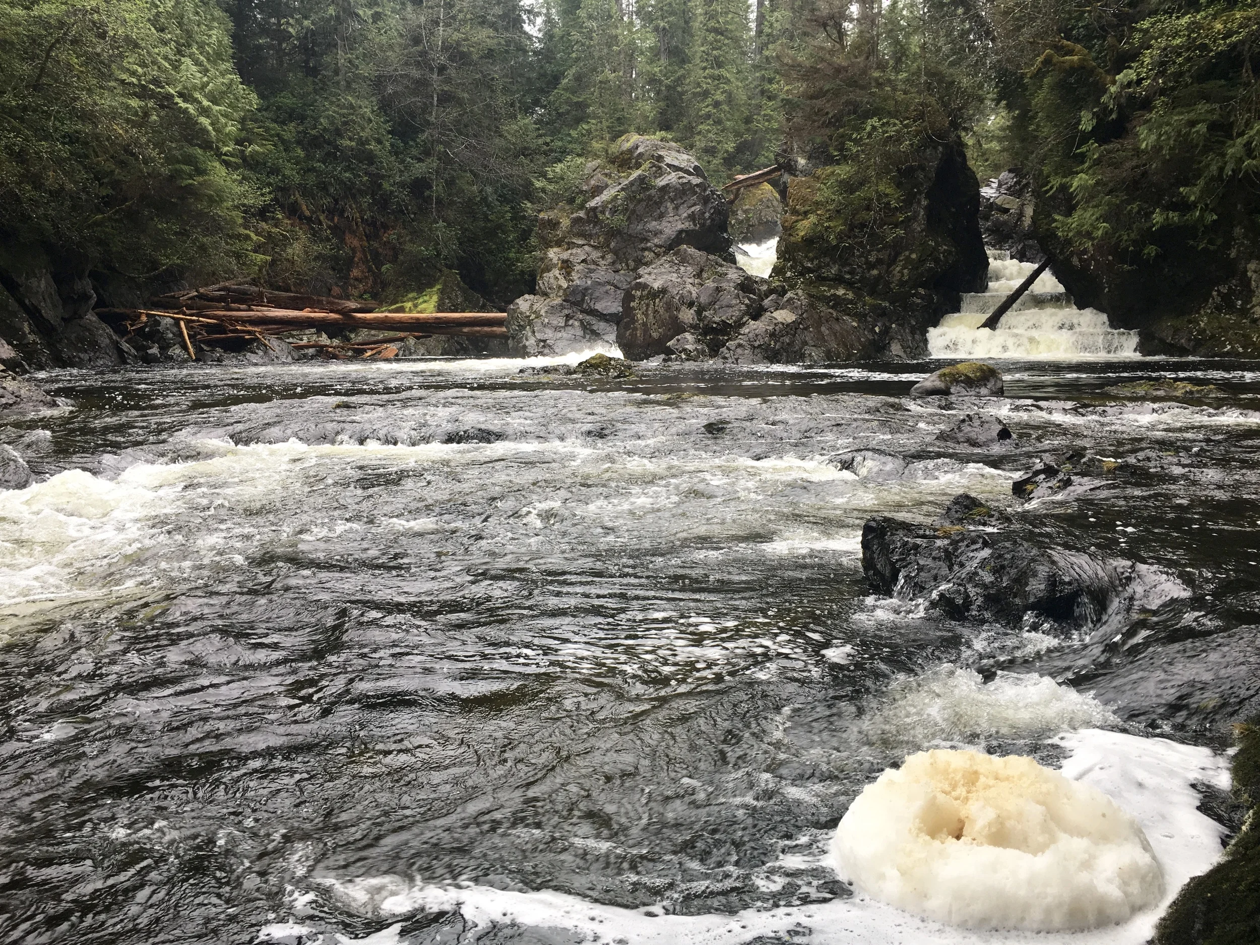 Salomon ladders just upstream of Salomon beach, Vancouver, BC Photo:Zach