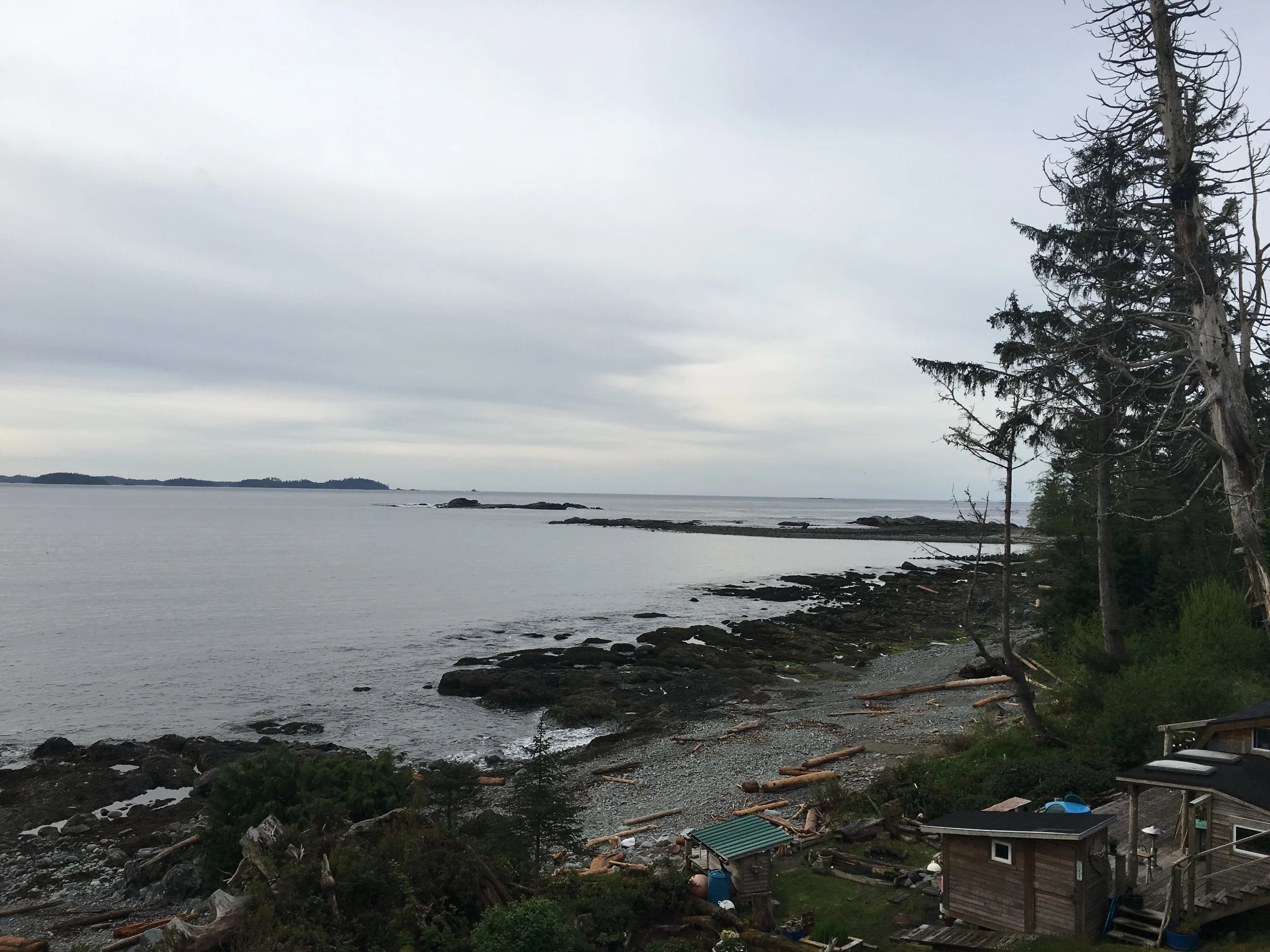 Heidi's backyard in Salmon Beach, Vancouver Island, BC Photo:Zach