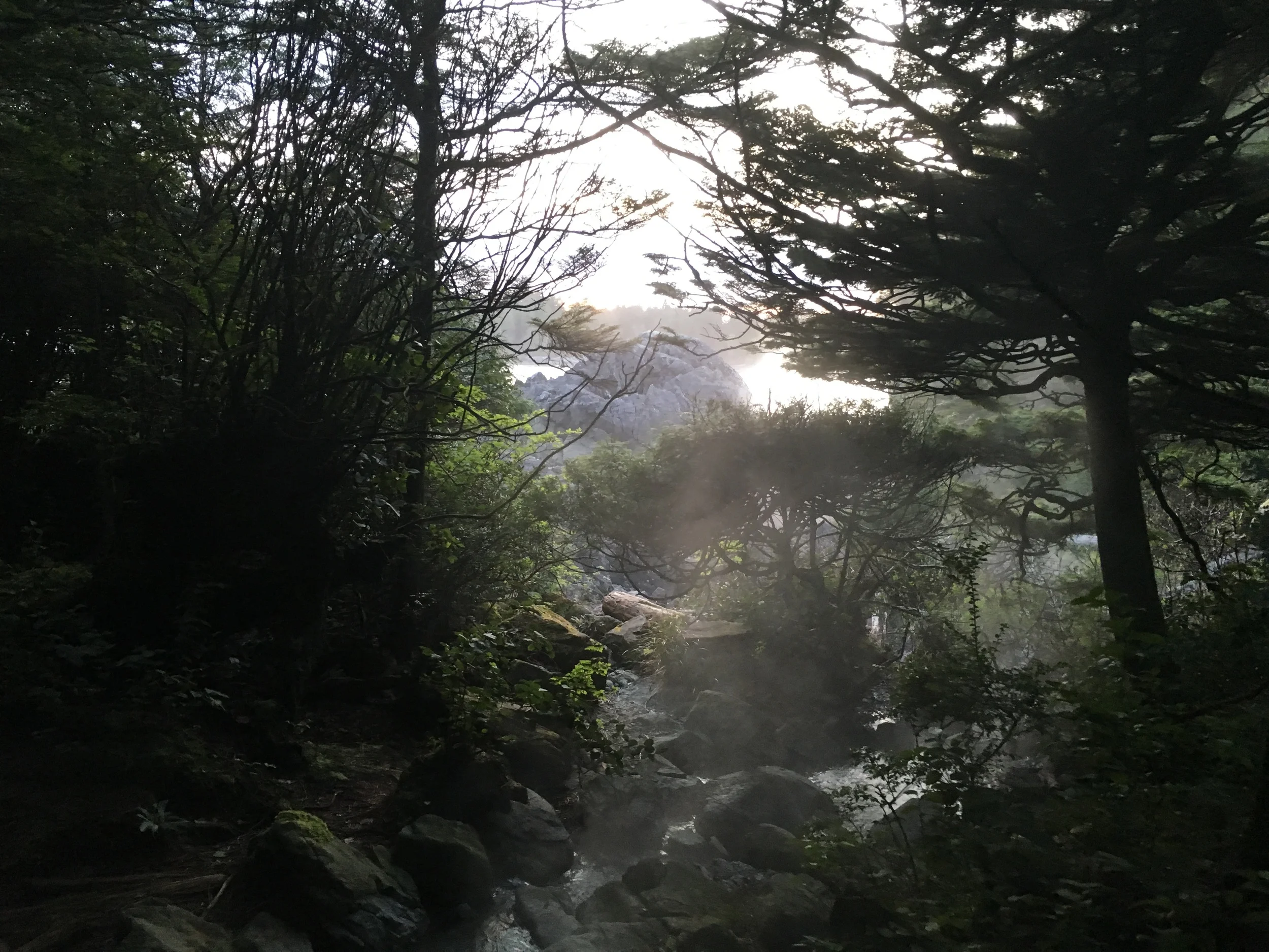 Hot Springs Cove Photo: Zach