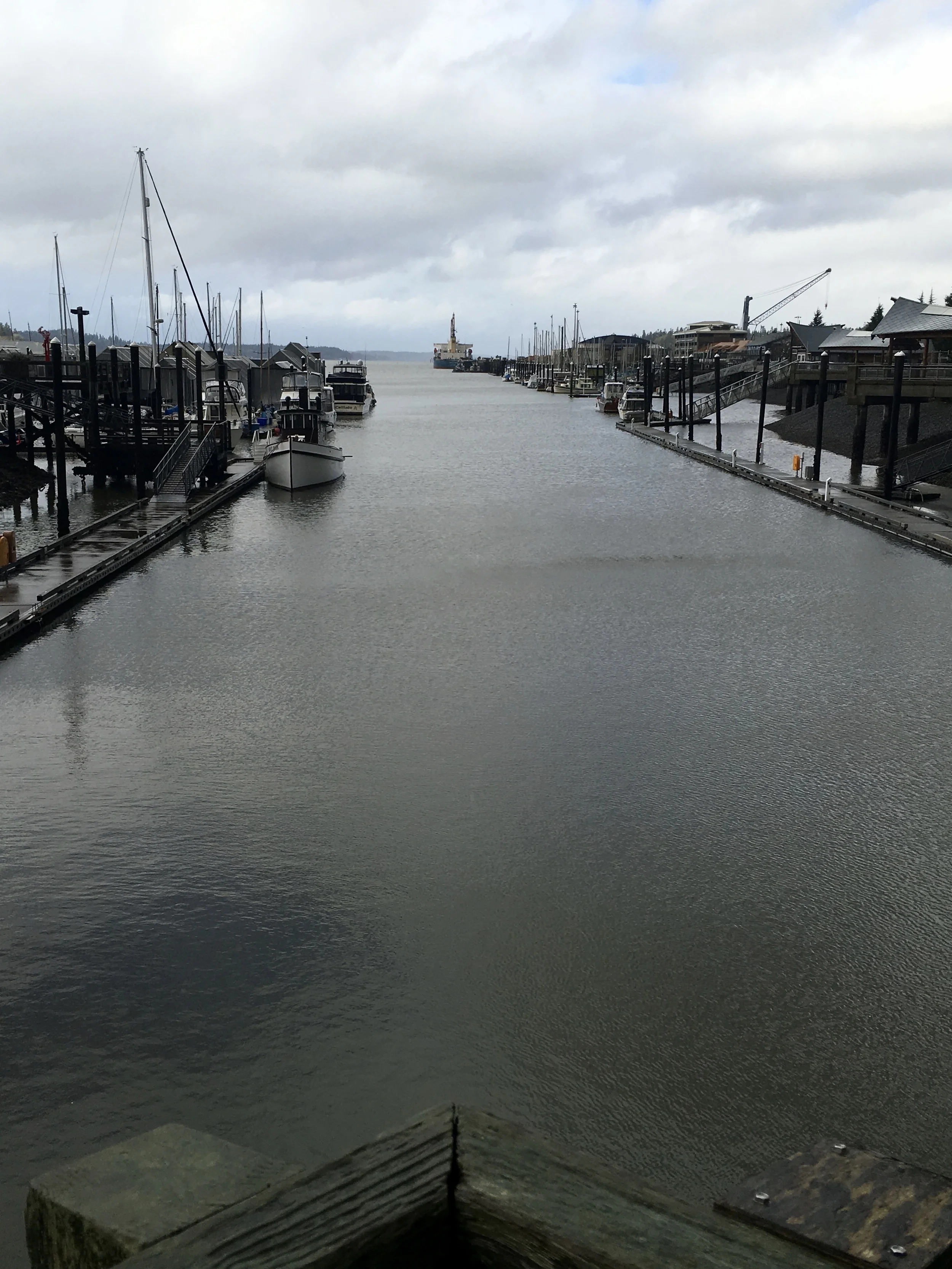 The very southern tip of the Puget Sound in Olympia, WashingtonPhoto: Zach Husted