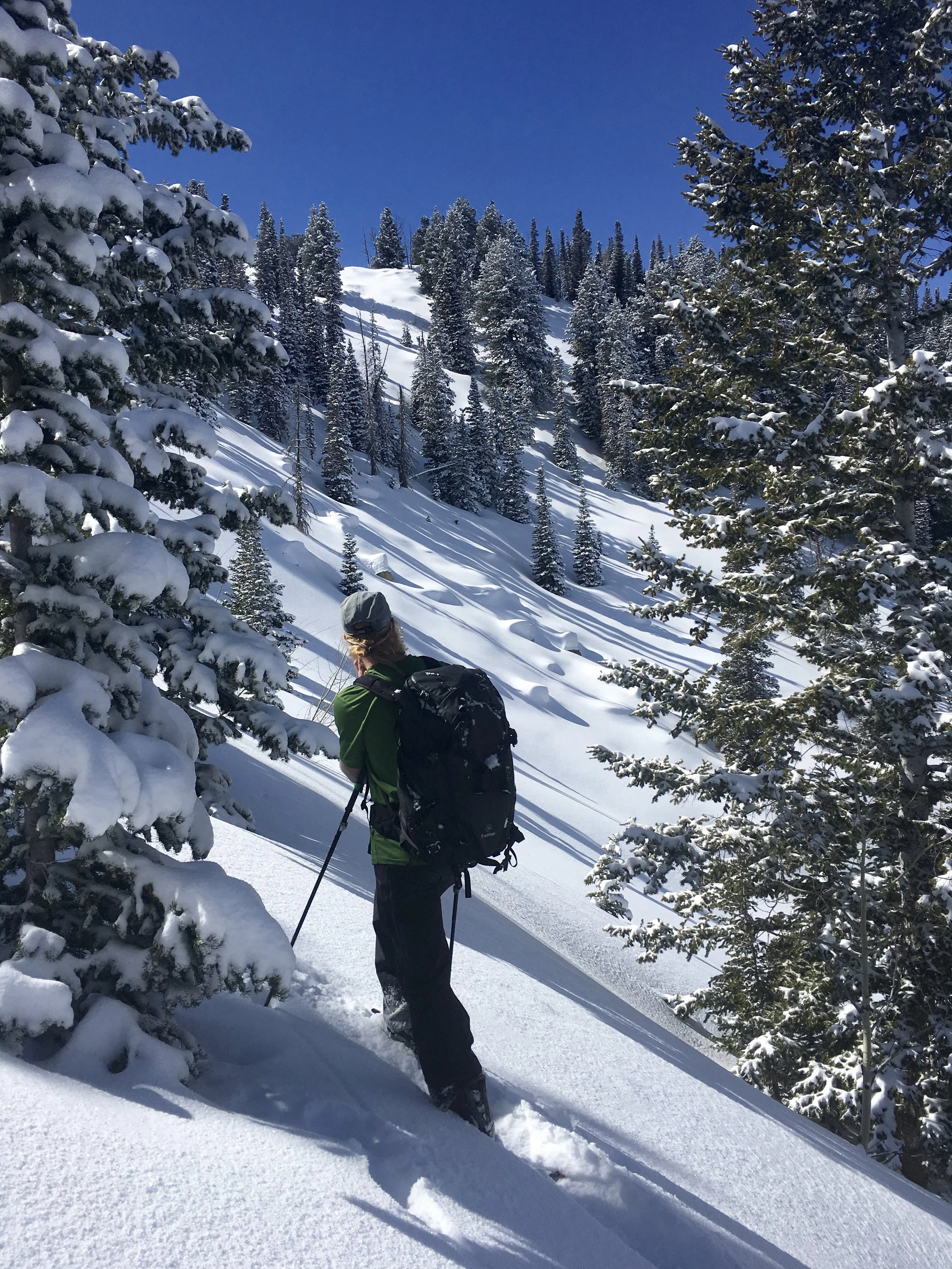 Big Cottonwood Canyon, UT Photo: Gazing into some hits in Silver Mine Meadow