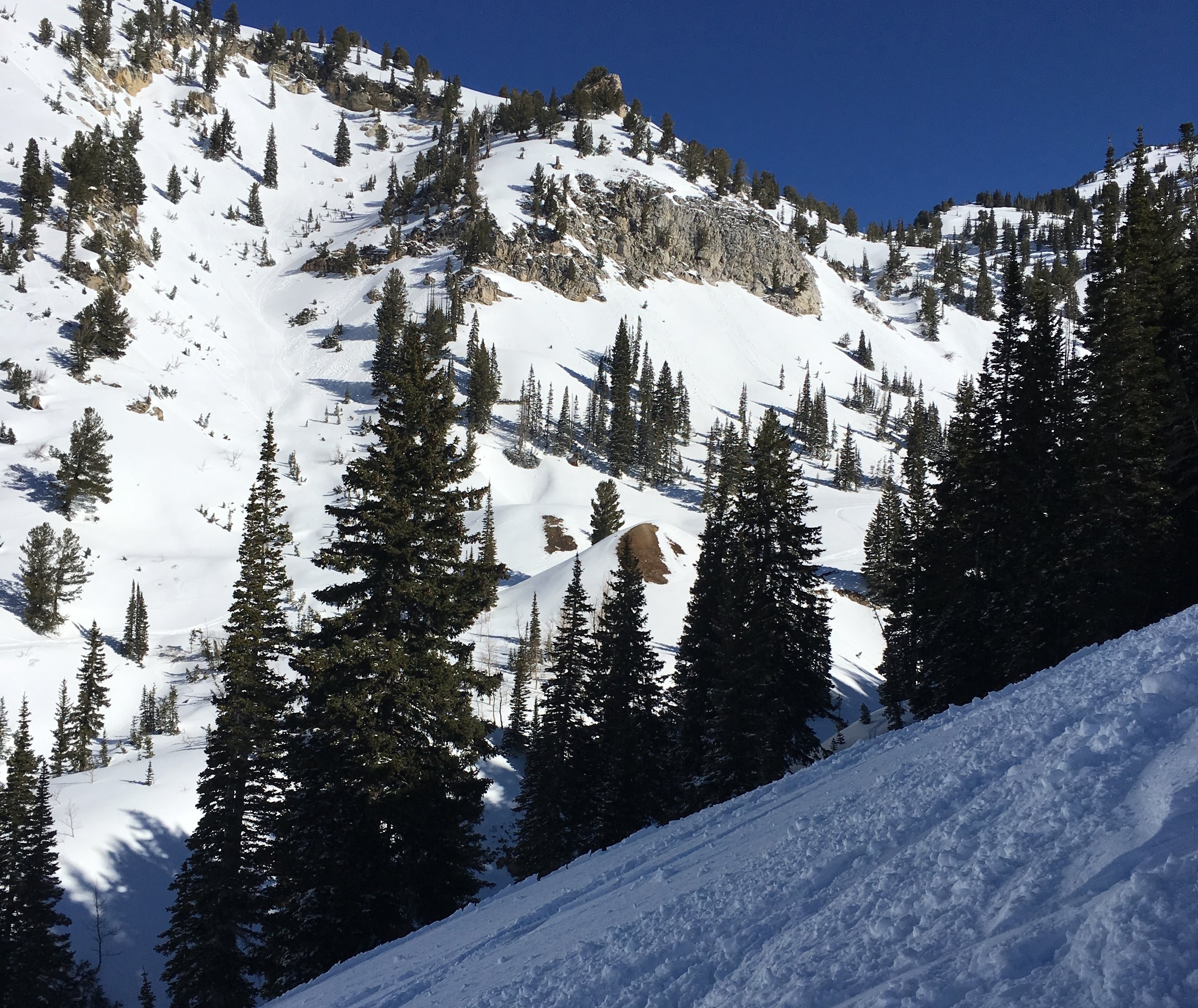 Photo: Chads Gap Little Cottonwood Canyon, UT