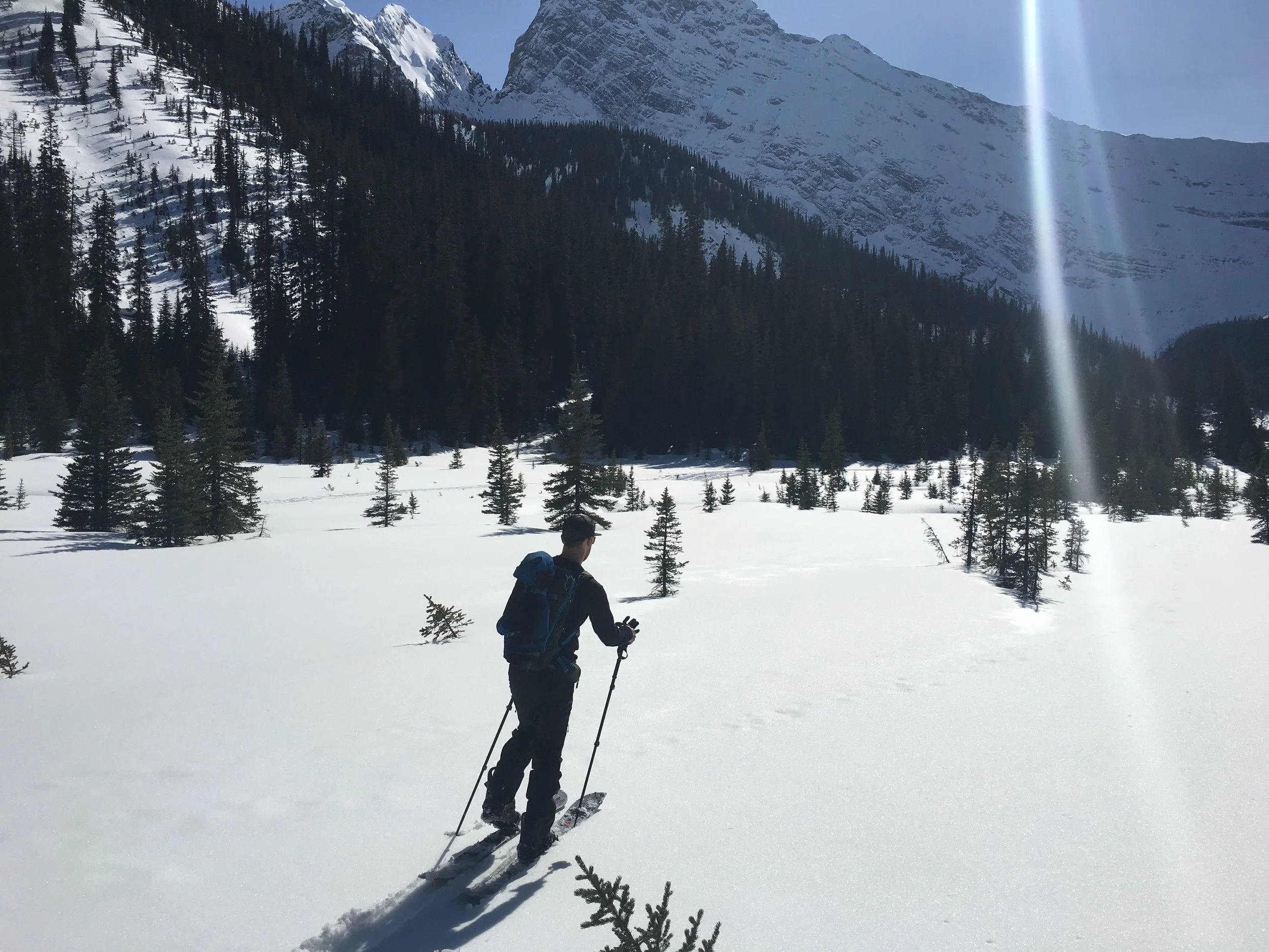 Commonwealth drainage in Kananaskis Country Photo: Brian Stenerson