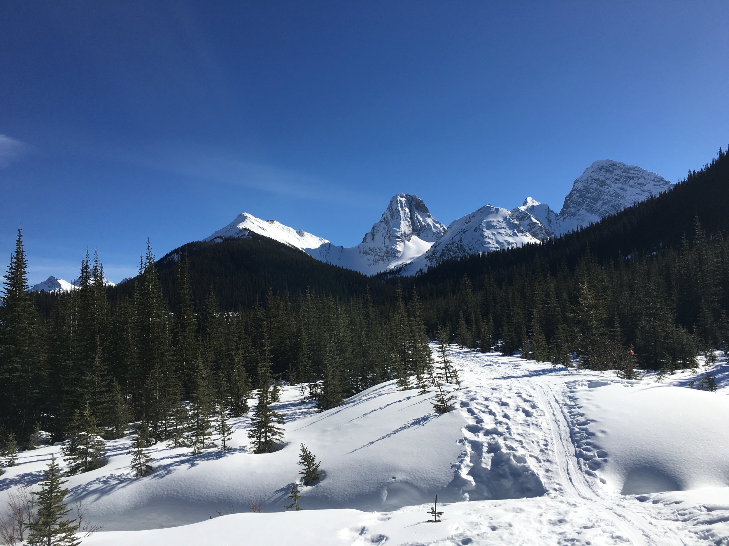 Kananaskis Country Photo: Zach Husted