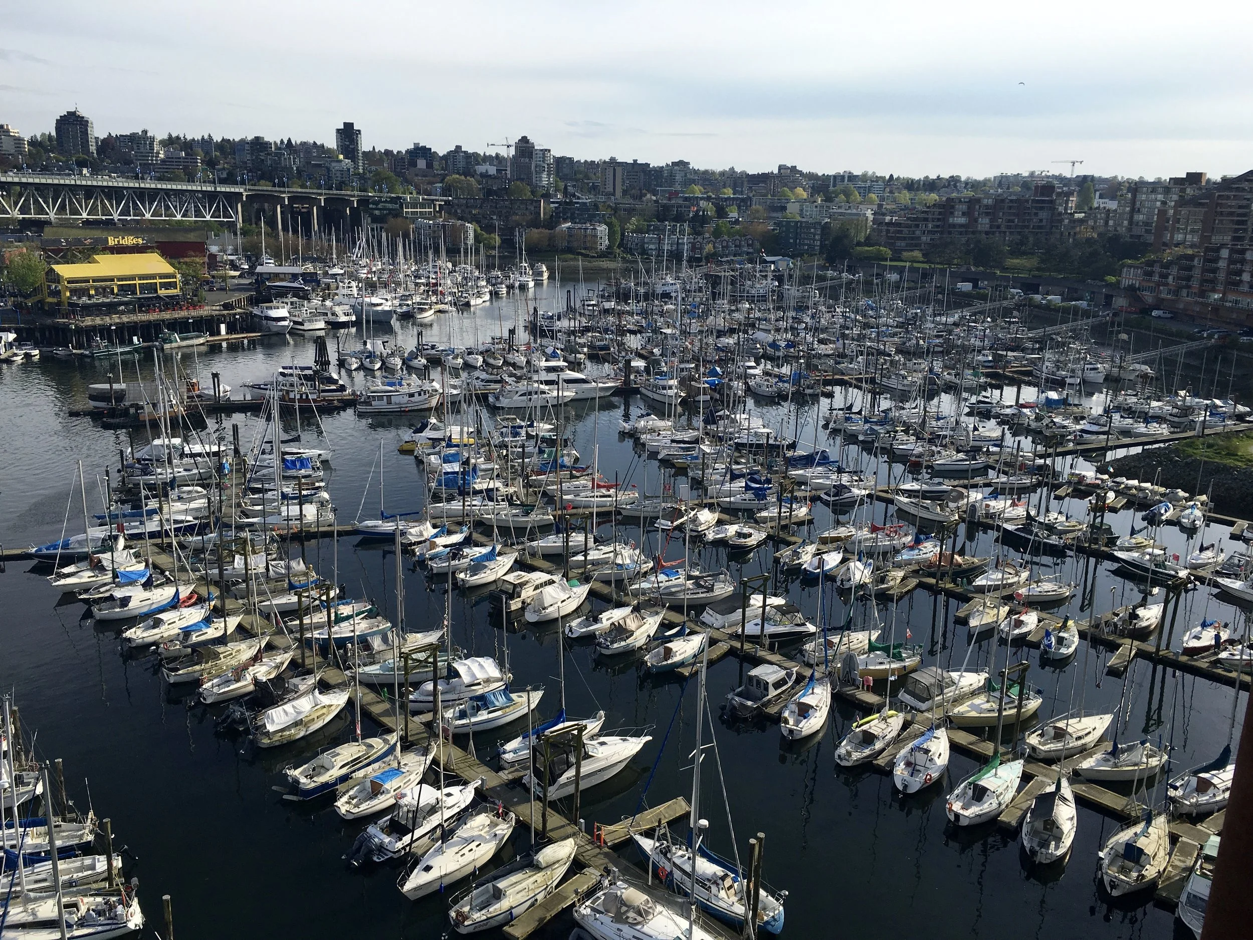 Looking into the bay with Granville Island in the back left. Photo: Zach Husted