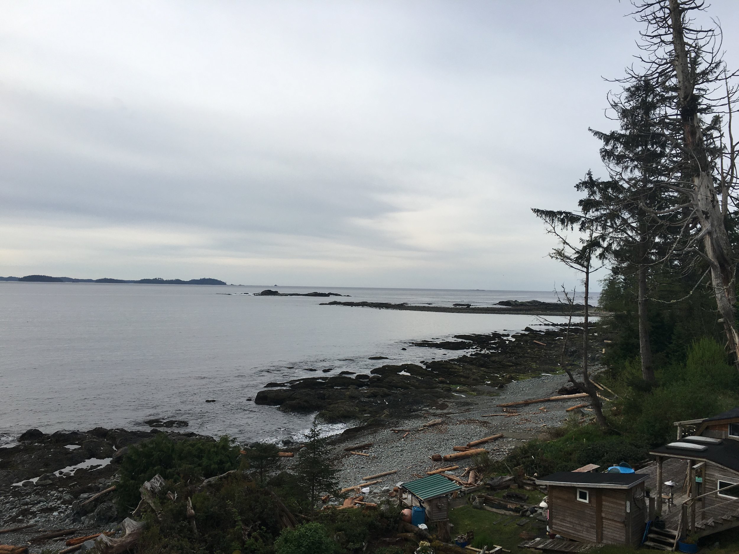 Heidi's backyard in Salmon Beach, Vancouver Island, BC Photo: Zach Husted